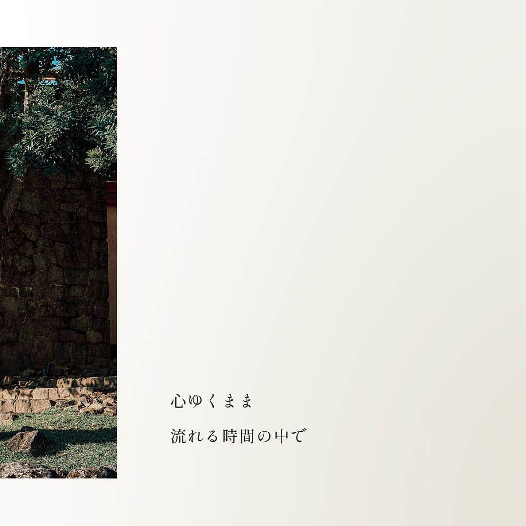 ザ・ヒルトップテラス奈良さんのインスタグラム写真 - (ザ・ヒルトップテラス奈良Instagram)「.....  ザ・ヒルトップテラス奈良 ブライダル  奈良の歴史と共に 時を刻んできた The Hilltop Terrace Nara. 奈良の象徴的な大自然の空間で迎える特別な一日を .....  @hilltopterracenara 詳細はプロフィール欄のWEBサイト もしくは以下からお気軽にお問い合わせください。  住所：〒630-8212 奈良県奈良市春日野町９８−１ 電話番号：0742-27-0555 公式HP：https://www.hilltopterrace.co.jp/  #ヒルトップテラス奈良 #hilltopterracenara  #奈良結婚式場 #奈良ゲストハウス #奈良前撮り #奈良結婚式 #奈良結婚式 #奈良結婚式場 #奈良前撮り #奈良結婚式場探し  #プレ花嫁 #プレ花嫁さんと繋がりたい #プレ花嫁準備  #バンケット #披露宴 #式場見学 #式場レポ #結婚式レポート #挙式 #関西ゲストハウス」11月11日 20時00分 - hilltopterracenara