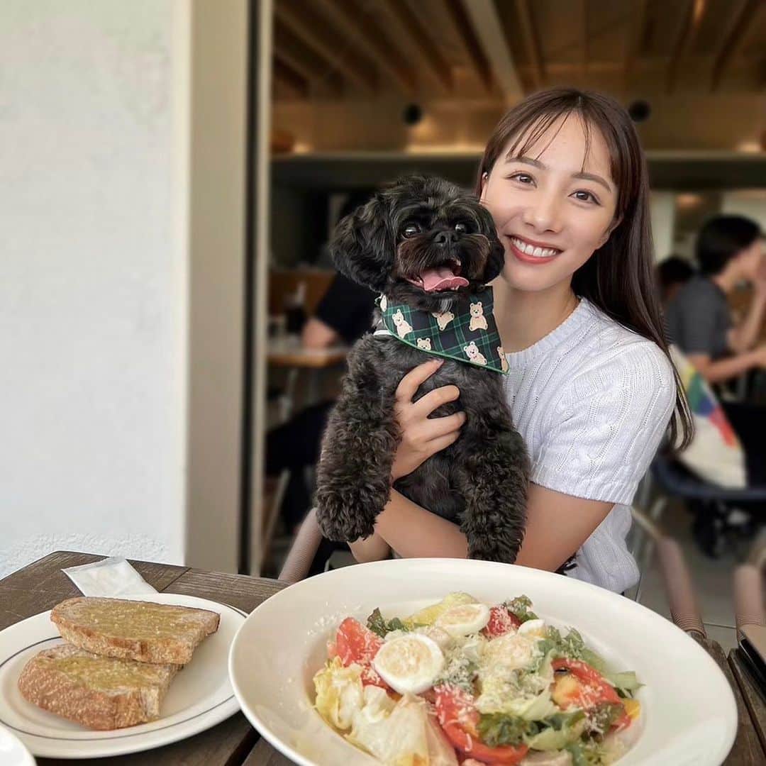 武藤彩芽さんのインスタグラム写真 - (武藤彩芽Instagram)「. . わんわんの日♡  いつもたくさんの幸せをありがとう♡  これからも愛情いっぱい注いで 幸せにするからね❤️‍🔥」11月11日 20時02分 - mutoayame