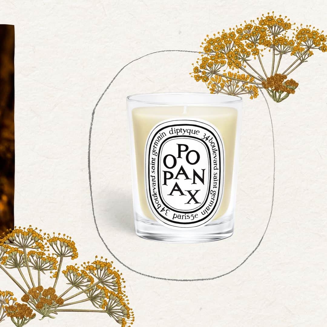 ディプティックさんのインスタグラム写真 - (ディプティックInstagram)「Ever so subtly, the Opopanax candle… …conjures up memories of the East. It recalls a resin with an enveloping scent – a balm with a hint of vanilla, once used as a remedy as much as a perfume. Today, still, Opopanax soothes the senses. #Diptyque #CandleOfTheMonth #Opopanax #Candles」11月11日 20時05分 - diptyque
