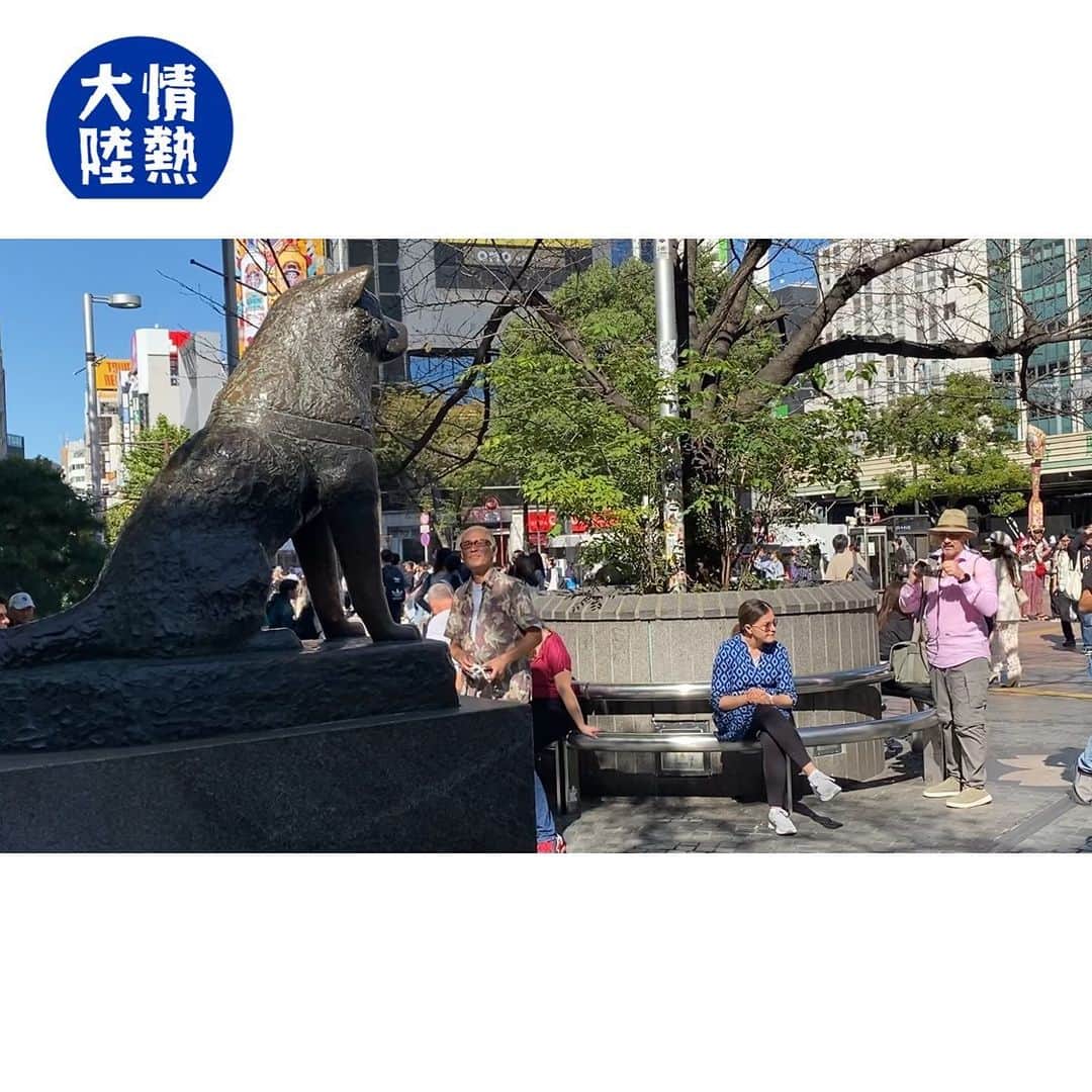 TBS「情熱大陸」さんのインスタグラム写真 - (TBS「情熱大陸」Instagram)「🔵 このあと 11時 スタート！ MBS/TBS系　情熱大陸  ストリートアーティスト 西野達  その西野が次にアートで仕掛けるのが、 今年で生誕100年を迎えた「世界で最も有名な犬」 忠犬ハチ公の銅像。  今や東京きっての待ち合わせ場所としてだけでなく、海外からも観光客を集めるこの名所をどのような芸術に昇華するのかー。  西野の企みにカメラを向けた。  アートの存在理由は人々の想像力の拡張だと信じる西野。 「アート作品ってアーティストが解説するものじゃない。観る人が自由に観るのがアート本来の見方だと思います。作品を『なんだろうこれ？』っていうような感じで観て、考えてもらうのが一番正解」  西野が信じるアートの不思議な可能性が渋谷の街に花開くとき、ハチは果たしてどんな思いを抱くのか。  #情熱大陸 #ストリートアーティスト #西野達 #ハチ公」11月12日 22時00分 - jounetsu_tairiku