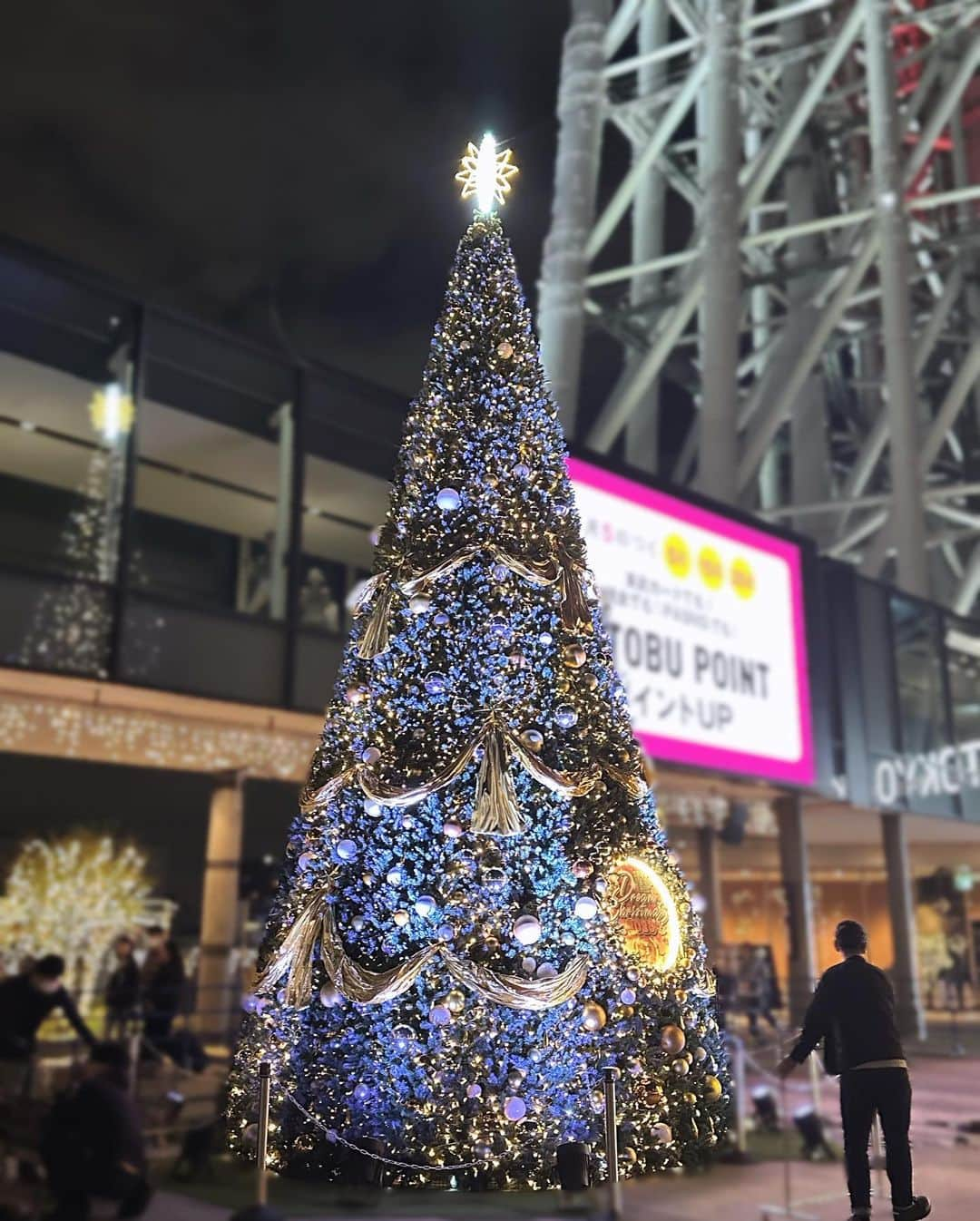 松下玲緒菜のインスタグラム：「🌲」