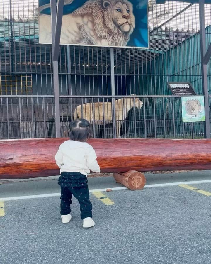 藤本真由のインスタグラム