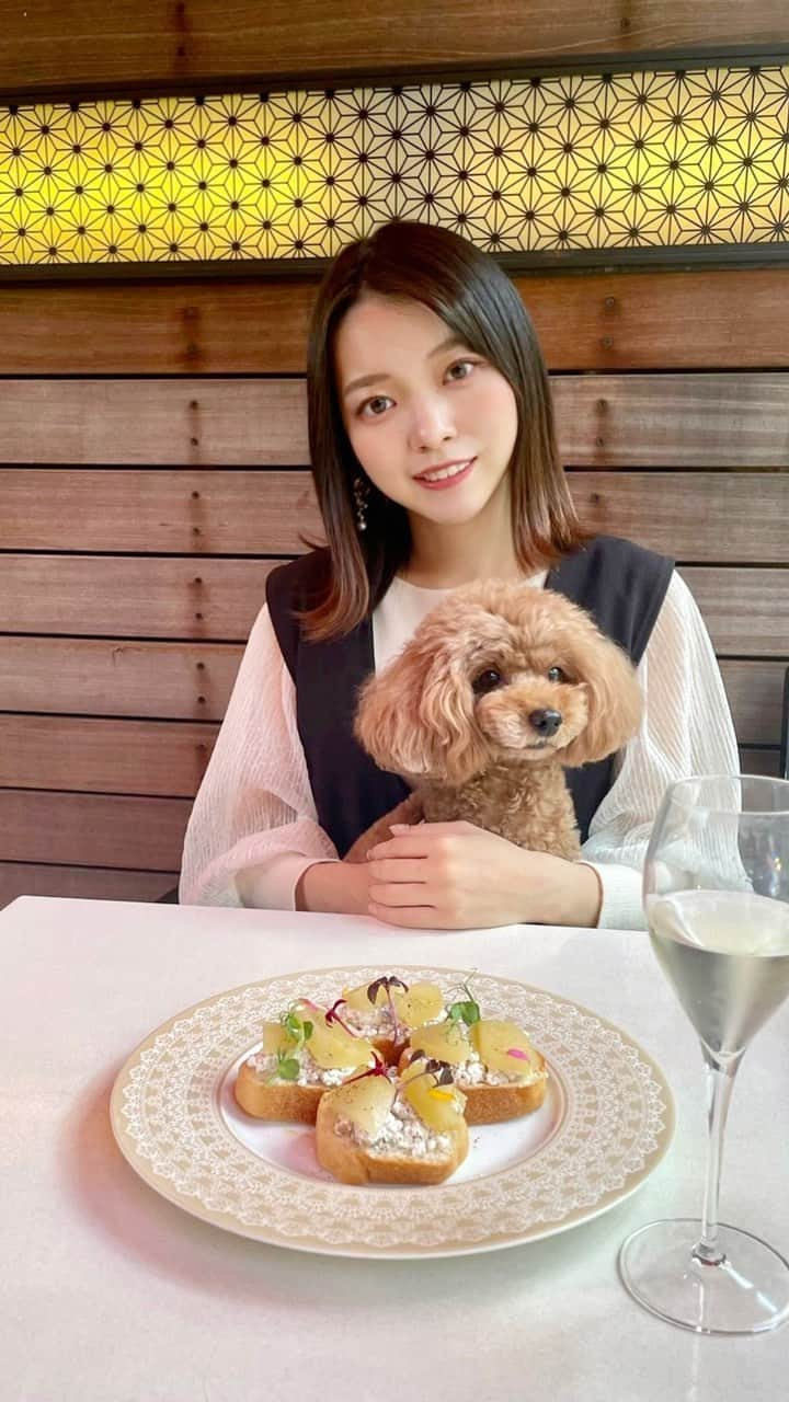 横山キラのインスタグラム：「愛犬サラとお出かけ🐶  サラとランチ行ってきました🍽  テラス席に屋根がついていたので雨の日でも大丈夫そう！と思いました😌  1週間ぶりに会っただけなのに、腰フリフリしちゃうくらい喜んでくれるサラなのでした🐩🎀   #浅草  #浅草グルメ  #浅草ランチ  #ワンコ #ワンコok  #浅草さんぽ  #トイプードル  #タイニープードル  #トイプー  #パンケーキ  #しらすピザ  #いちごスイーツ  #いちごのパンケーキ  #浅草イタリアン  #asakusa  #asakusatokyo  #asakusacafe」