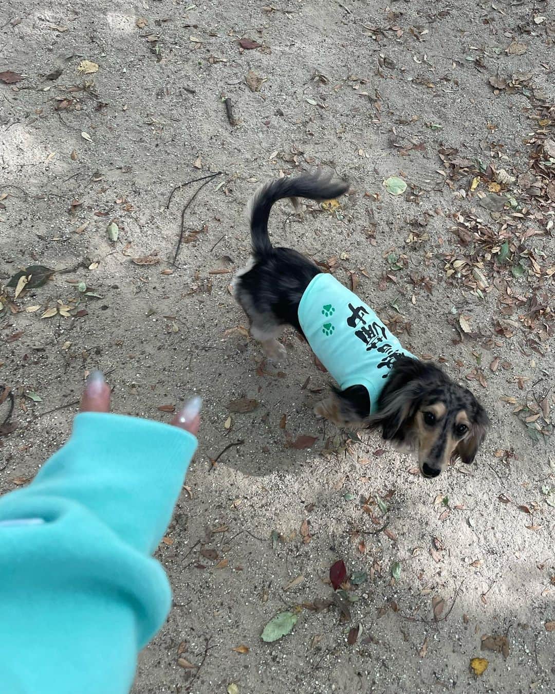 菖蒲まりんさんのインスタグラム写真 - (菖蒲まりんInstagram)「ごまとリンクコーデ🐶♡   #fr2月桃  #FR2 #ドッグラン #ダックス #ミニチュアダックス #犬 #🐶 #dog #犬バカ部  #いぬのいる暮らし  #ごましお #パーカー女子」11月11日 20時58分 - marin_nonfic