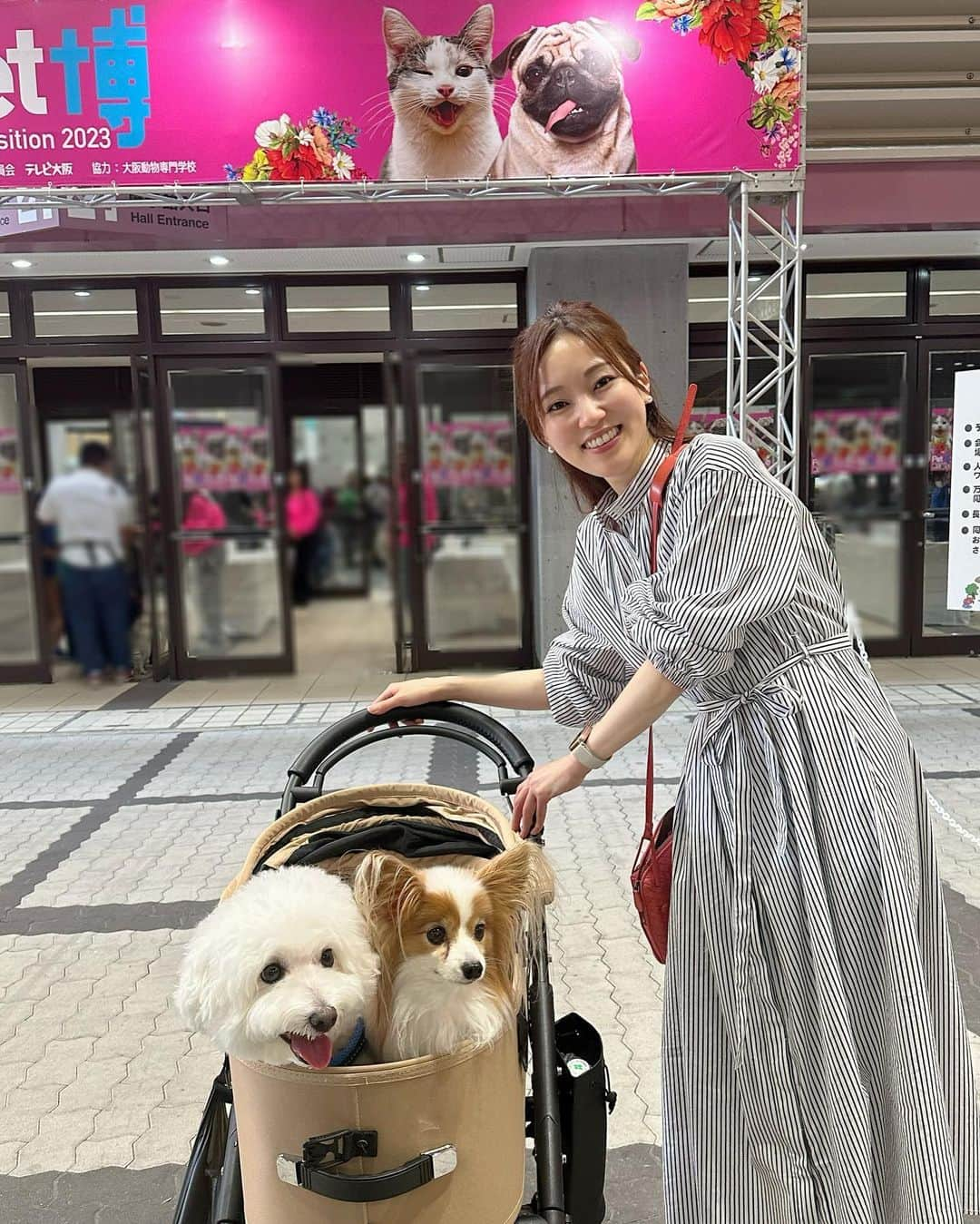 愛白もあさんのインスタグラム写真 - (愛白もあInstagram)「🐴🐕🐈🐇🦜🦡🐢🐁 先週"ペット博"に行ってきました🩷 参加は2回目🩷 色々なお店が出店していて楽しいのですが、 何よりも楽しいのが色々なワンちゃんネコちゃんに会える事😆✨ ⁡ 珍しい犬種から、鹿やフェレットやカメ、ヒヨコ、ハムスター、インコ、カエルやイグアナや大トカゲまで🦎 ⁡ 途中ビジョンフリーゼが集まって、モフモフ会が行われました🤭 皆さま自分の子の名刺を持っておられてビックリ！！インスタチェックします✨ 可愛すぎましたね🤍 癒されて大興奮した一日でした🐾  ワンピース @elura_official  ⁡ #ペット博2023  #もふもふ部 #いぬすたぐらむ  #さくら #パピヨン #とら #ビションフリーゼ  #名付け親は父  #男はつらいよより」11月11日 21時01分 - aishiro_moa