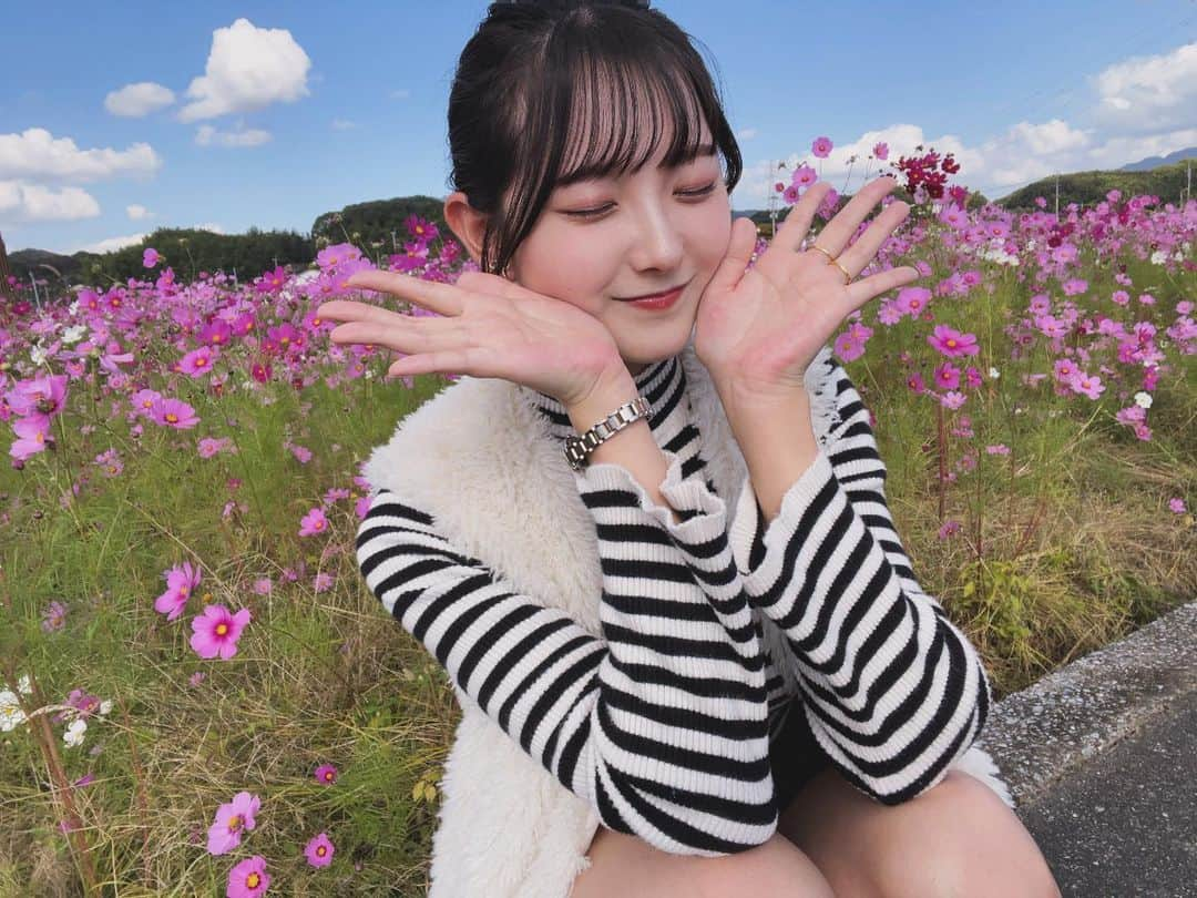 悠花さんのインスタグラム写真 - (悠花Instagram)「コスモス畑♡綺麗だった〜💐☀️」11月11日 21時10分 - haruka_217_