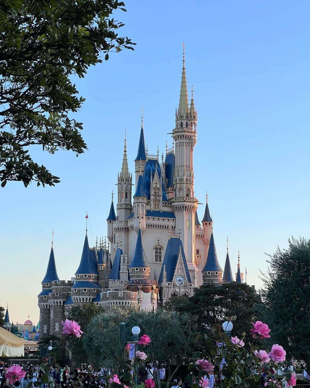 目見田早弥子のインスタグラム：「行くたび毎回撮ってしまう、だいすきな景色🏰」