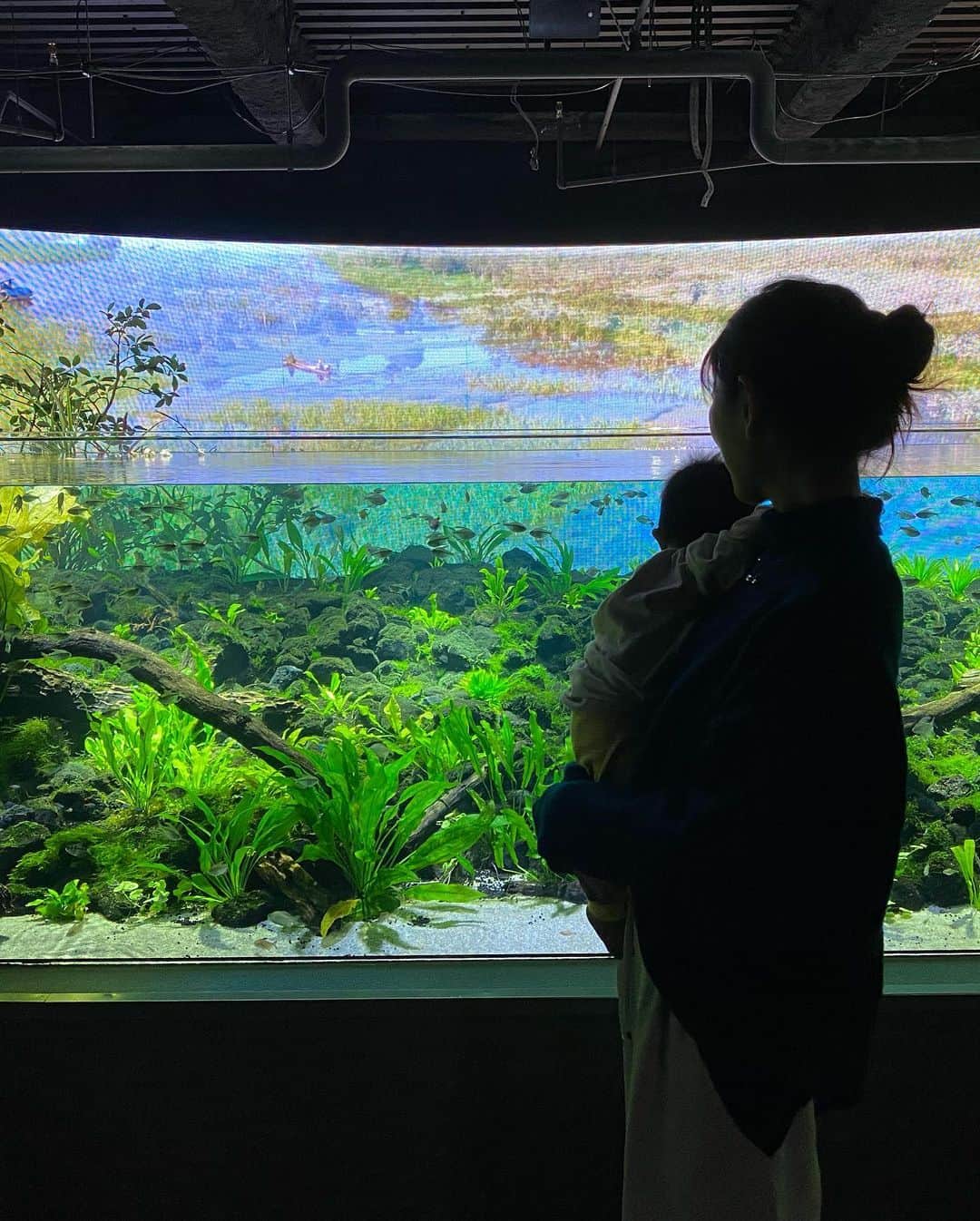 阿川麻美さんのインスタグラム写真 - (阿川麻美Instagram)「家族でカワスイ 川崎水族館へ🐟  カワスイは 世界の美しい水辺を五感で感じる新感覚エンターテインメント水族館。 そしてママに優しい水族館なの🥺 　  JR川崎駅からすぐ、しかも館内も ベビーカーでスイスイ進めて楽しめるからベビちゃんいても快適🙆‍♀️ 子供が喜ぶメニューがたくさんあったり 飽きずに楽しめる、癒しの空間になってるよ👍 ベビールームもあるからひと休みもできるしとにかく快適！  とあるエリアにアルマジロがいるんだけど 夜行性だから？丸まってるからか？ いつも見つけられなくて 今回初めて見つけられて…！ 見つけた時は寝てたんだけど どうしても起きてるところが見たいって言って 何度も何度もこのエリアに戻って ようやく起きてるアルマジロさんを 今回初めて見ることができました！！ 息子くん、大喜び🤣  絵本で読んでて大好きな ナマケモノにも会えたし 充実した1日になりました💓  子育てパパさんママさん おすすめだよ👍  PR @kawasui_aqua #カワスイ #川崎水族館 #水族館 #子育てママ #ママに優しい水族館プロジェクト #駅チカ #カワスイ川崎水族館」11月11日 21時25分 - asamichi922