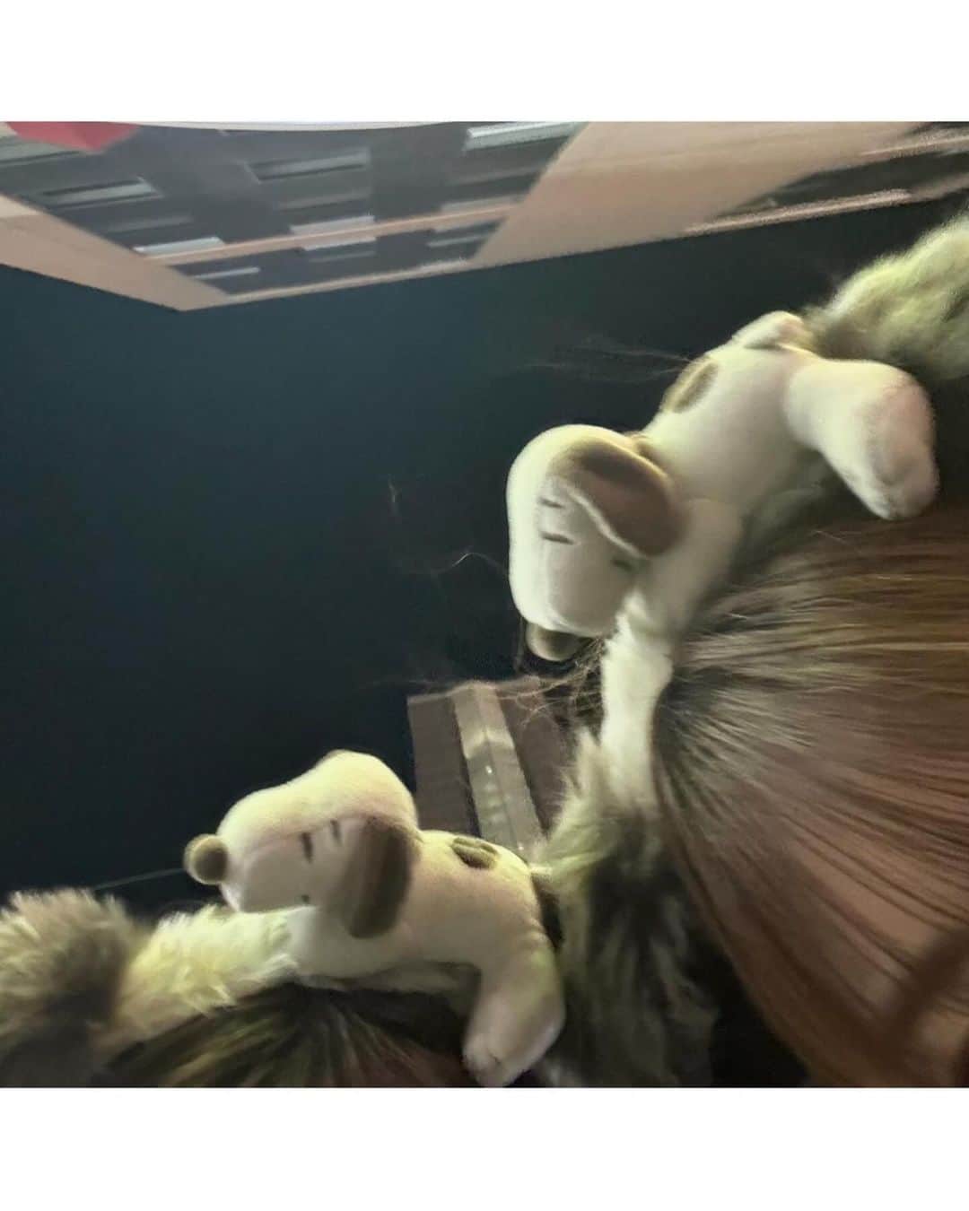 後藤陽菜乃さんのインスタグラム写真 - (後藤陽菜乃Instagram)「‪✿  大阪旅行3日目♡♡  ユニバに行ってきた~🌎🤍 5.6年ぶりにホラーナイトの期間に行けた☺️ それにしてもスヌーピーちゃんかわいすぎた♡  2泊3日幸せな時間でした…💕  ・ ・ ・  #大阪旅行 #ユニバーサルスタジオジャパン  #usj #ユニバ #ホラーナイト  #ホラーナイト2023 #ootd  #04 #05」11月11日 21時57分 - pinachan._.0308