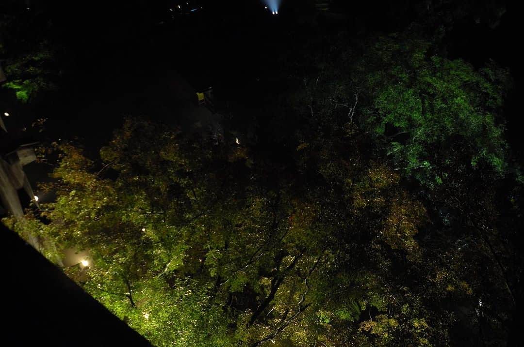 Yuya Hasegawaさんのインスタグラム写真 - (Yuya HasegawaInstagram)「@zegnaofficial   オアジ・ゼニアを感じる夜。 夜の清水寺でシークレットなイベントに参加させていただきました。サイレントラグジュアリーの凄み。  #zegna #清水寺 #brifth #shoeshine」11月11日 21時52分 - yuya.hasegawa.brift.h