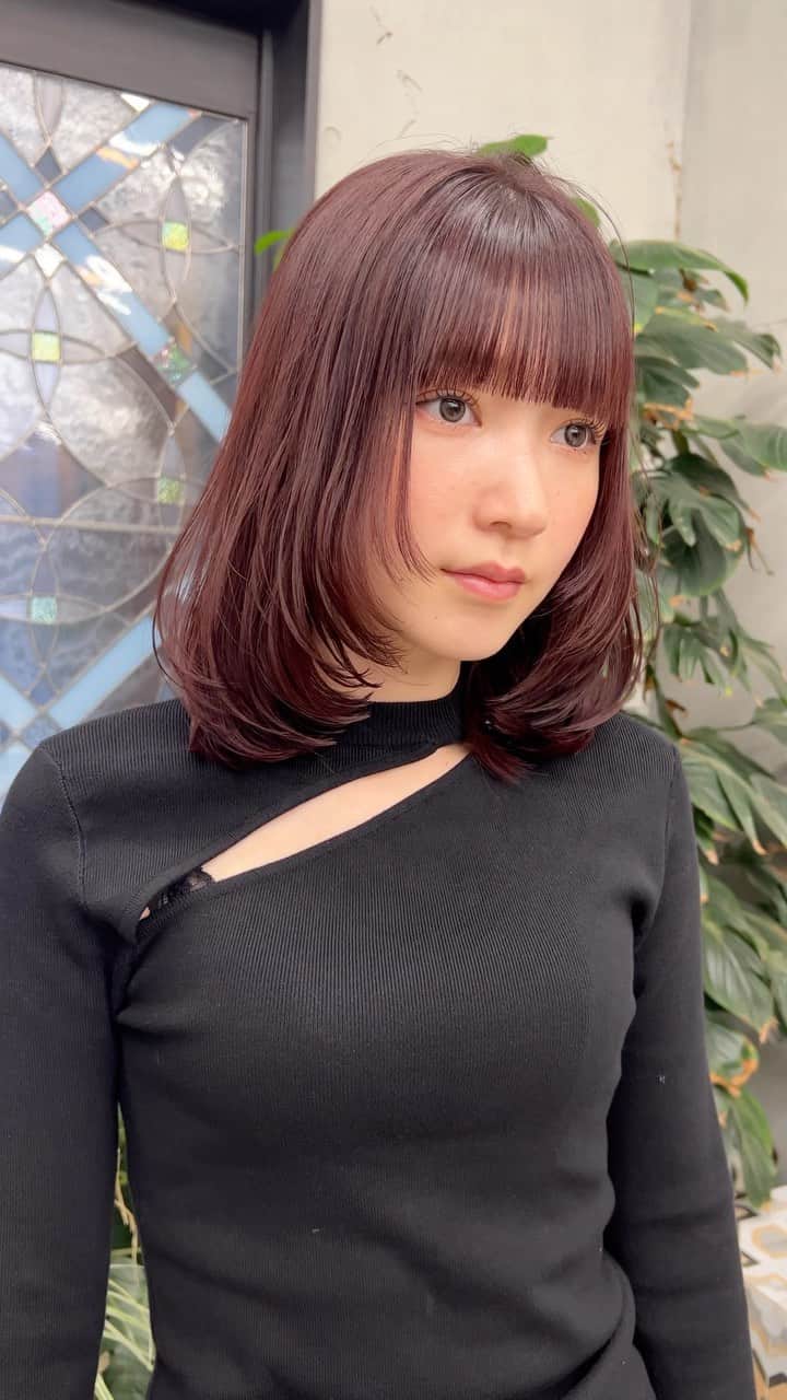兼井遼のインスタグラム：「チェリーレッド＊  柔らかくほつれるヘア😌  ツヤのある 暗くても透明のある カラーならお任せください☺️  11月のご予約も まだまだお取りできます🙇🏻  ご質問などは コメントにてお問い合わせください！😌  #ケアカラー  #ヘアアレンジ  #ケアダブルカラー  #巻き方  #髪質改善カラー  #イルミナカラー  #ミルクティーベージュ #グレージュ  #ケアブリーチ  #ハイライトカラー  #ハイトーンカラー  #ブリーチ  #ダブルカラー   #インナーカラー  #オリーブアッシュ  #グラデーションカラー  #グレージュカラー  #ツヤトーン  #パーマ  #艶髪  #外国人風  #髪質改善トリートメント  #くびれヘア  #シースルーバング  #髪質改善  #ラベンダーグレージュ  #オリーブグレージュ  #トリートメント  #ヘア アクセサリー　#インナーハイライト」