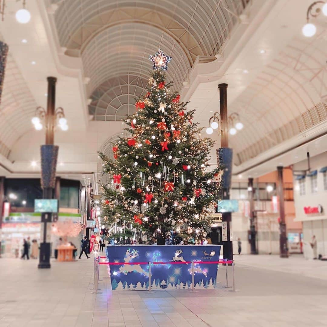 阿部真央さんのインスタグラム写真 - (阿部真央Instagram)「大分Night🎄」11月11日 22時21分 - abemao_official