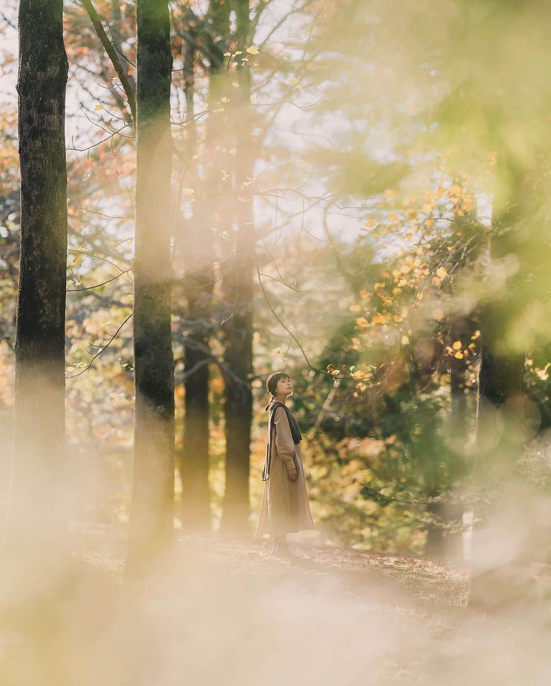 shinichi38さんのインスタグラム写真 - (shinichi38Instagram)「⁡ ⁡ ⁡ autumn color 🍂 ⁡ ⁡ ⁡ Shot on Nikon Z7Ⅱ NIKKOR Z 135mm f/1.8S(Plena) ⁡ @nikonjp #PR #nikon #z7Ⅱ #NikonZⅡ #nikoncreators  #zcreators」11月11日 22時36分 - shinichillout54