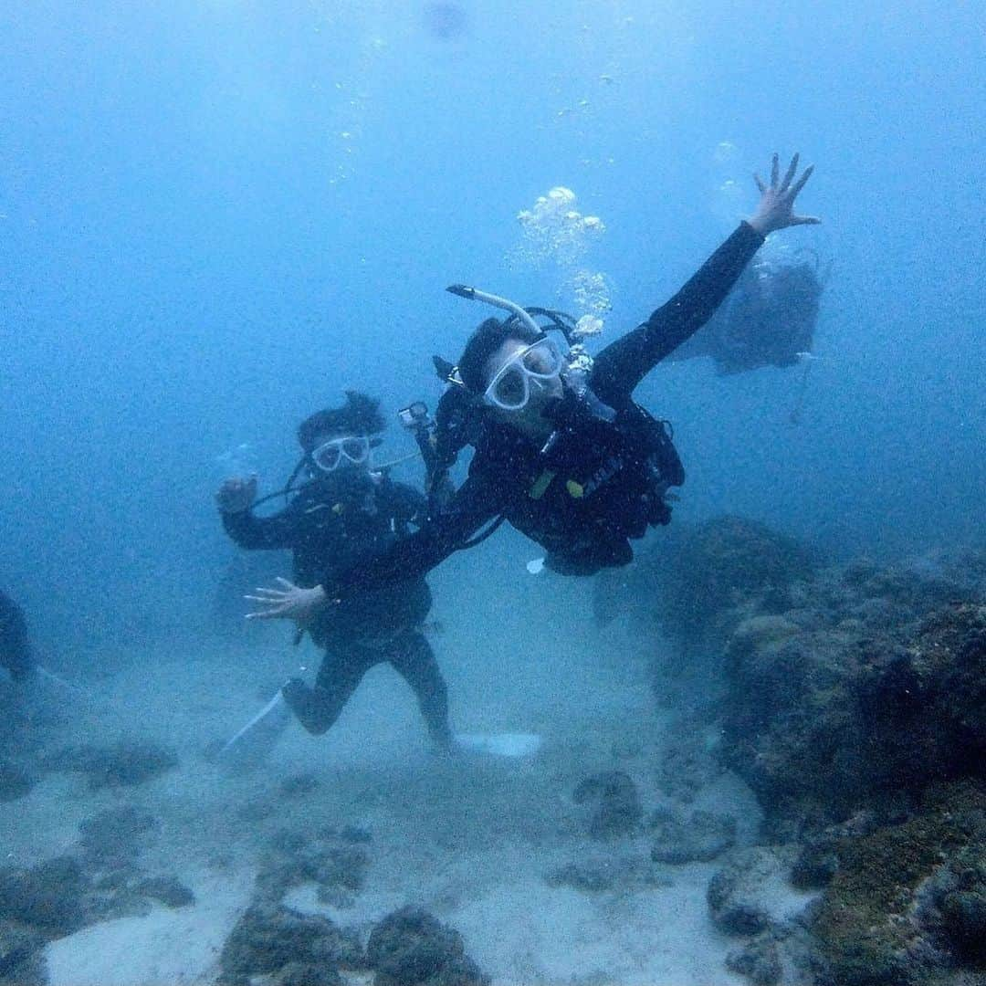 蒼井さやさんのインスタグラム写真 - (蒼井さやInstagram)「海がシケちゃって釣りが出来なくなったので、海中調査をしに急遽ダイビングをすることに🌊✨️ 海中は少し濁ってたけど、魚も触れそうなくらい間近に見れたし亀にも出会えたし、久しぶりのダイビングはめっちゃ新鮮だった°･🐠✨️ 今度はもっとお天気のいい日に濁ってない時に潜りたいなぁ☺️🌺 ・ ・ ・  #沖縄ダイビング  #ダイビング女子  #沖縄旅行  #沖縄ダイビングNEO」11月11日 22時51分 - saya.aoi