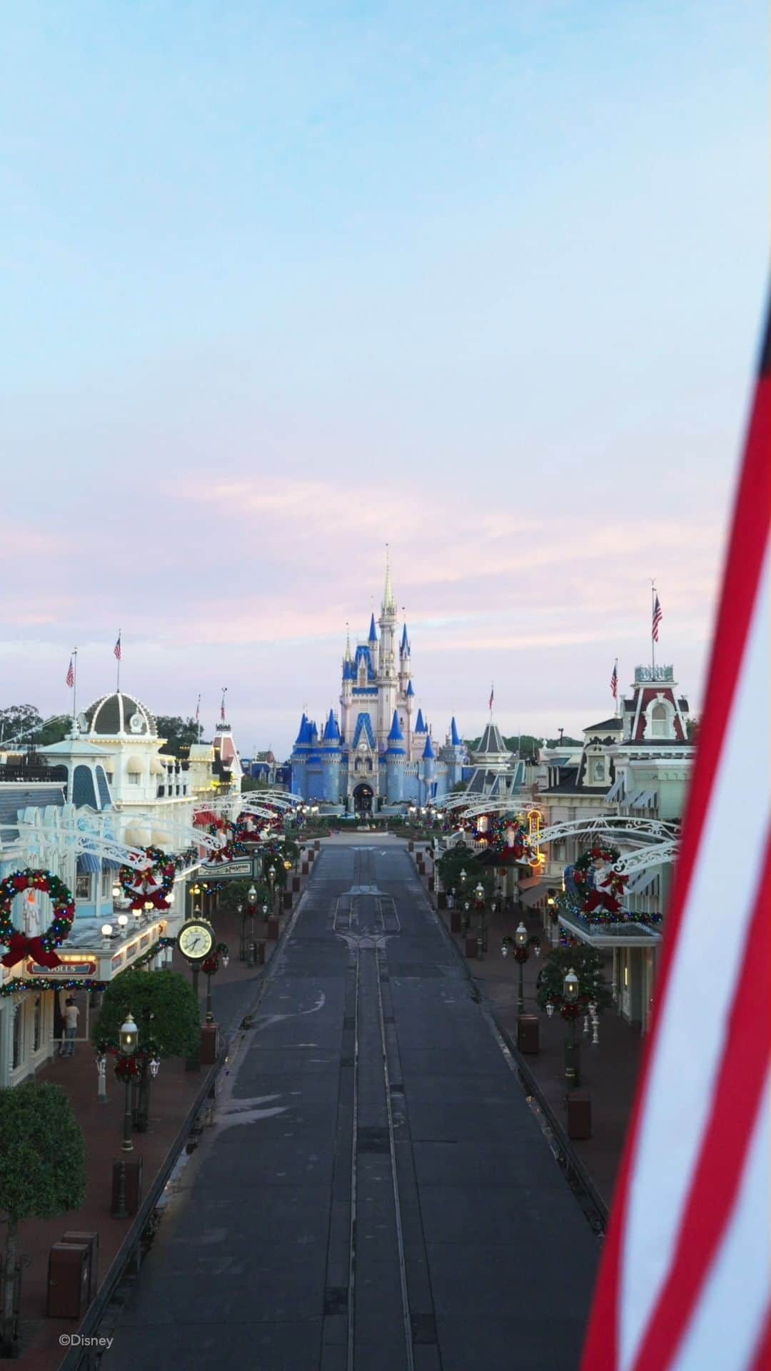 Walt Disney Worldのインスタグラム：「This Veterans Day and every day we proudly honor those who have served or currently serve our nation’s armed forces. Thank you. 🇺🇸」