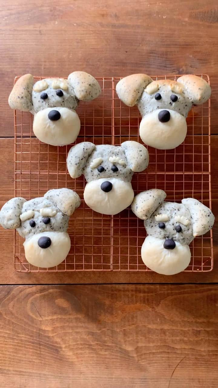 Ranのインスタグラム：「シュナあんぱんです🐶  #bread #schnauzer #puppy #anpan #sweets #schnauzerlove #あんぱん #ミニチュアシュナウザー #シュナ　#イラストパン #パン教室」