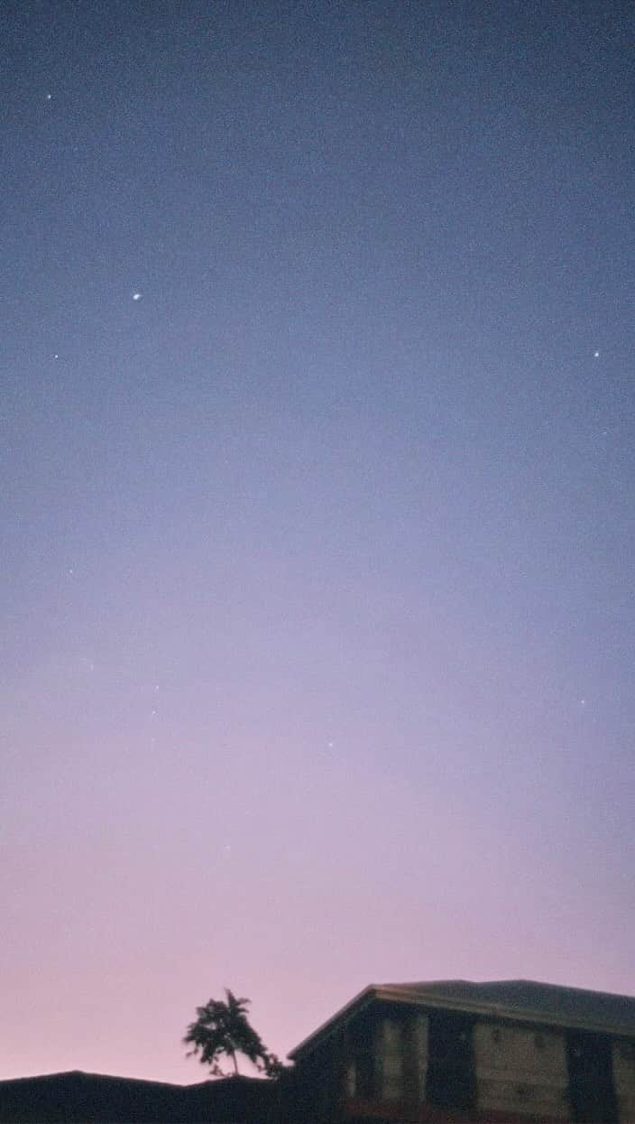 千葉祐夕のインスタグラム：「季節外れの朝顔が咲いてました ‪‪☺︎‬ どの写真が好き？？？ 🌙」