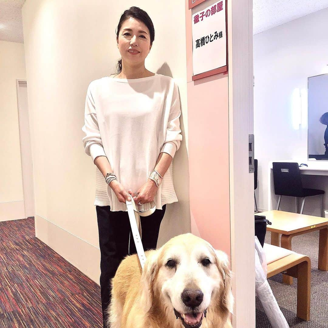 高橋ひとみさんのインスタグラム写真 - (高橋ひとみInstagram)「昨日は「徹子の部屋」をご覧いただきたくさんのコメントありがとうございました🎵  見逃された方は見逃し配信、TVerなどでもご覧いただけます。  pic2-3は2019年、ももえが出演させていただいた時のもの🎵 ももえ、とっても嬉しそうでした。 pic5はシンガポール在住のお友達のゴールデンレトリバーのテラちゃんがももえが画面に出てきたら、テレビに駆け寄って、じっと見つめていたそうです💓  #徹子の部屋  #黒柳徹子　さん @tetsukokuroyanagi  #テレビ朝日  衣装 @fabianafilippi #fabianafilippi  ジュエリー @buccellatimilan #buccellati」11月11日 23時21分 - hitomi_momoe