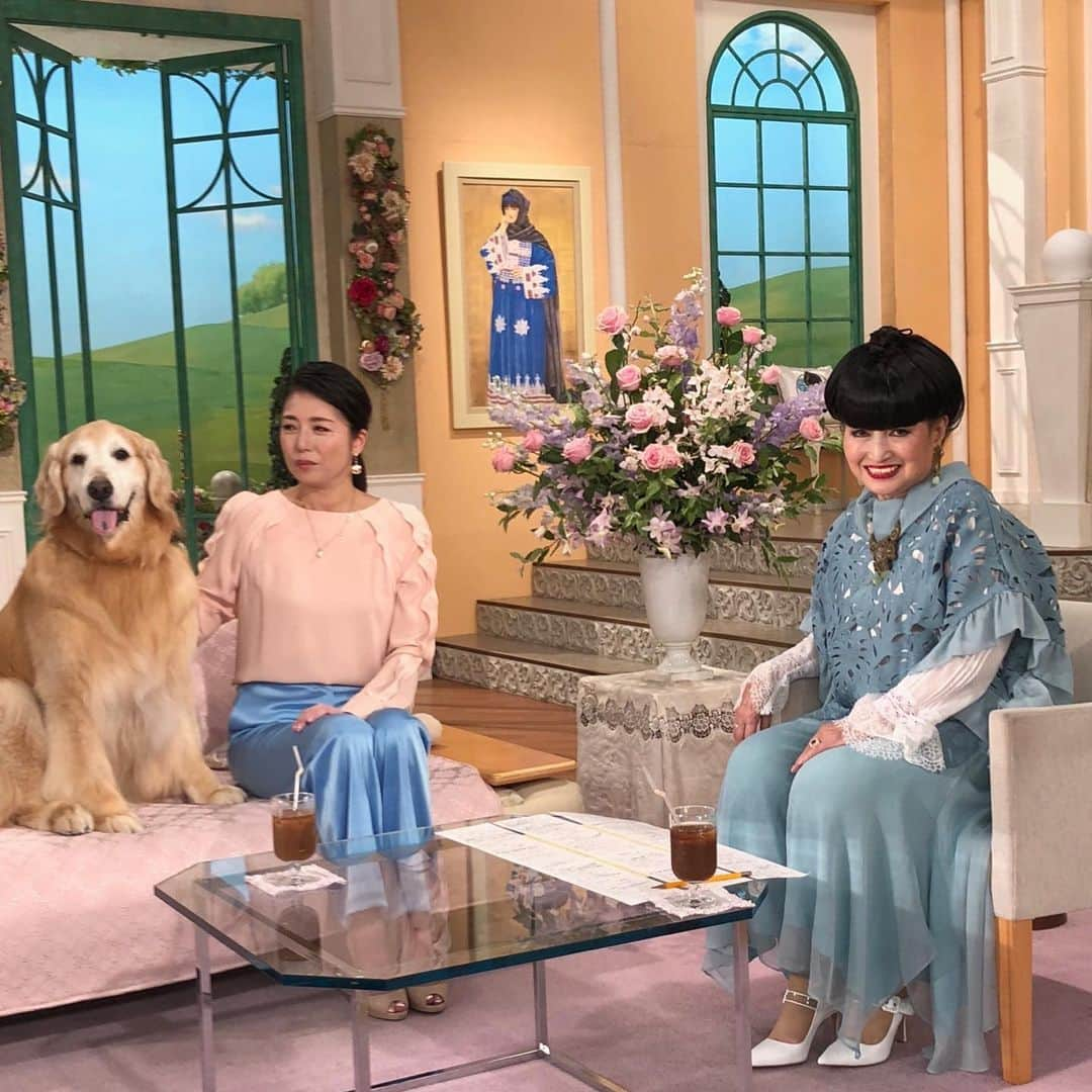 高橋ひとみさんのインスタグラム写真 - (高橋ひとみInstagram)「昨日は「徹子の部屋」をご覧いただきたくさんのコメントありがとうございました🎵  見逃された方は見逃し配信、TVerなどでもご覧いただけます。  pic2-3は2019年、ももえが出演させていただいた時のもの🎵 ももえ、とっても嬉しそうでした。 pic5はシンガポール在住のお友達のゴールデンレトリバーのテラちゃんがももえが画面に出てきたら、テレビに駆け寄って、じっと見つめていたそうです💓  #徹子の部屋  #黒柳徹子　さん @tetsukokuroyanagi  #テレビ朝日  衣装 @fabianafilippi #fabianafilippi  ジュエリー @buccellatimilan #buccellati」11月11日 23時21分 - hitomi_momoe