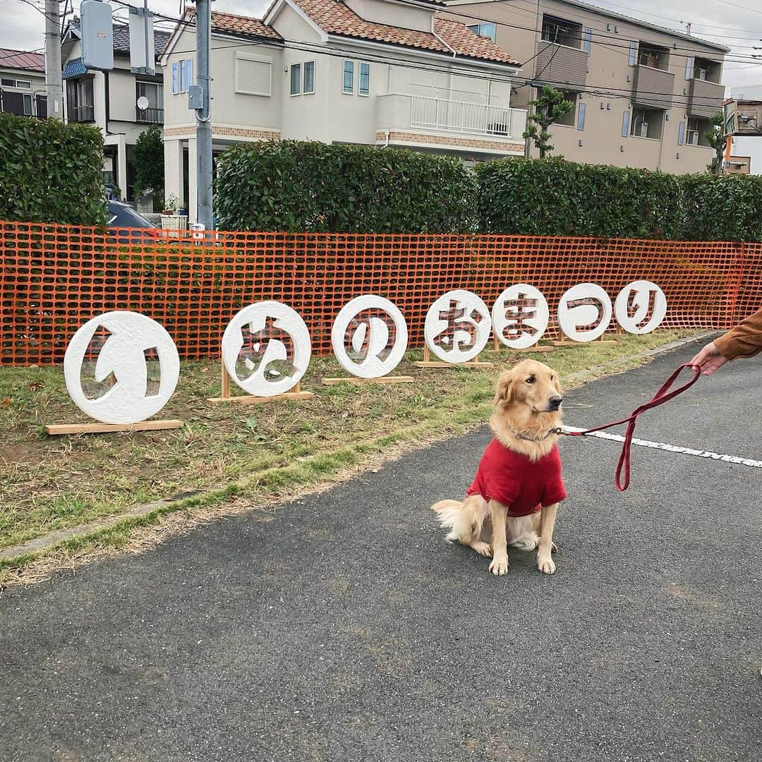 甲斐麻美のインスタグラム：「・ ＼＼むらキャン！×いぬのおまつり／／  無事に一日目終了しました！  ご来場頂いた皆さま、ありがとうございました🙌✨  雨が降った時間もありましたが たくさんのわんズに会えて楽しい時間になりました🥰  しっかし風が吹いて寒かったですねぇ〜😂 皆さま、風邪引かないでね❤️  明日も寒いみたいなので、 しっかり防寒対策して下さいね🐶✨  また明日も お待ちしております！  11/12は、いぬのおまつりに 遊びにいらして下さいね💓  ■ご来場の際はイオンモールの駐車場か、 臨時駐車場も開放しておりますのでご利用くださいませ。 皆さま安全運転・安全横断でね🐩🌿  ====================== むらキャン！× いぬのおまつり ======================  ■日時：11月11日(土)・12(日)10:00～16:00 ※雨天中止 場所：イオンモールむさし村山 　　　　たいかんたいけん野外広場 東京都武蔵村山市榎1-1-3  #いぬのおまつり　 #武蔵村山市 #武蔵村山 #むさし村山 #イベント運営 #いぬとわたし #犬との暮らし #犬ファースト #犬好きさんと繋がりたい #犬がいないと生きていけません #犬好き #犬のイベント #犬イベント #犬とお出かけ #いぬすたぐらむ #犬と楽しむ #犬最高」