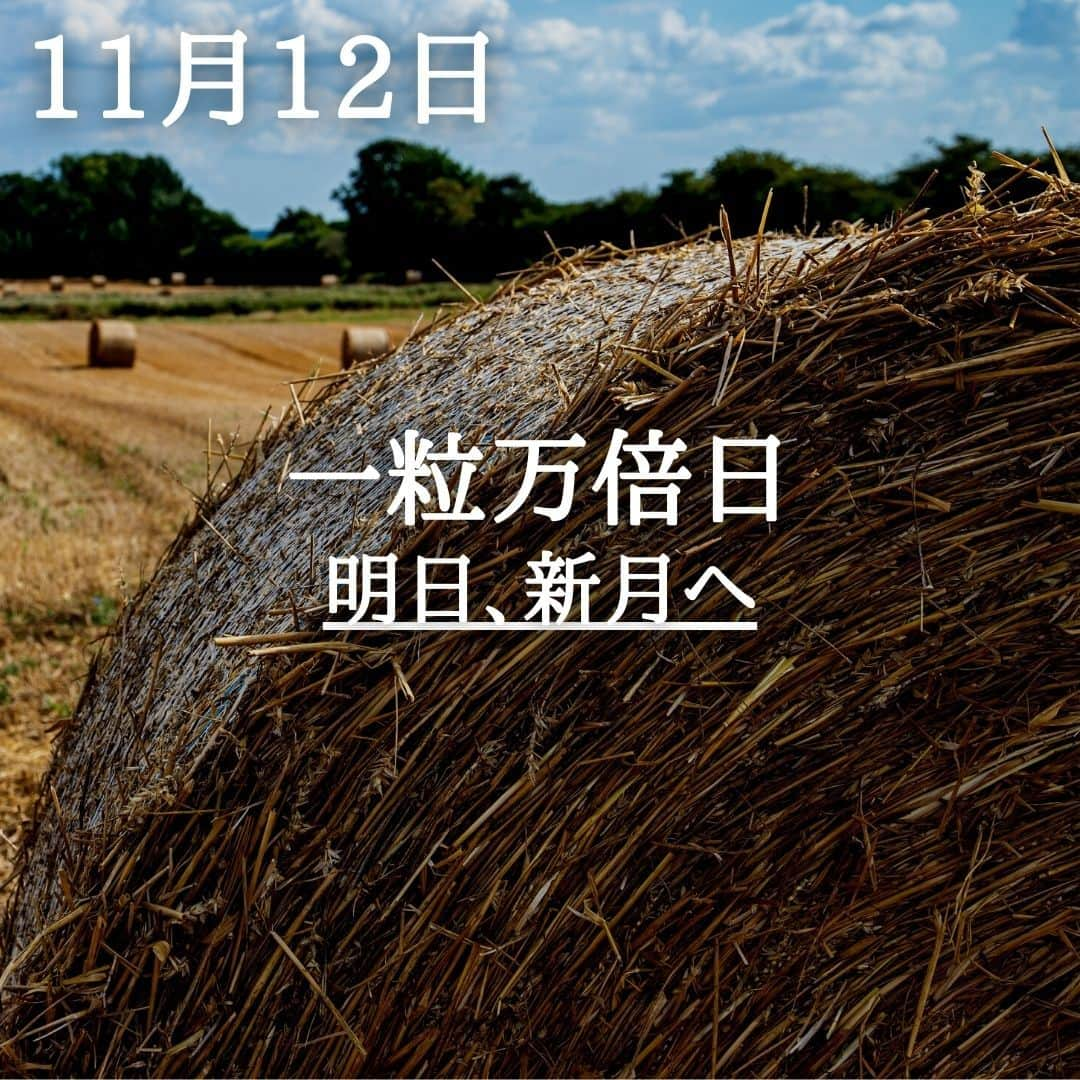 SOLARITAのインスタグラム：「【11月12日の運勢】 本日は一粒万倍日！ そして明日は新月です 「蝕の季節」を経て 再び「始まり」をもたらします . . 本日は一粒万倍日です！昨日に引き続いての連続一粒万倍日、一粒が万倍に実る収穫の吉日です。そして占星術的には午前3時39分に月が蠍座に移動。そのまま明日の夕方、太陽と重なることで新月となります。この新月は、10月15日の日蝕から始まった「蝕の季節」の終わりを告げます。 . 10月15日は金環日食、10月29日は部分日食、そして11月13日の新月と「蝕の季節」は続きます。運命に突然の変化が起こりうる波乱の1ヶ月が、まもなく終わりを迎えます . . #星占い　＃占星術　＃一粒万倍日　#四柱推命 　　. .」