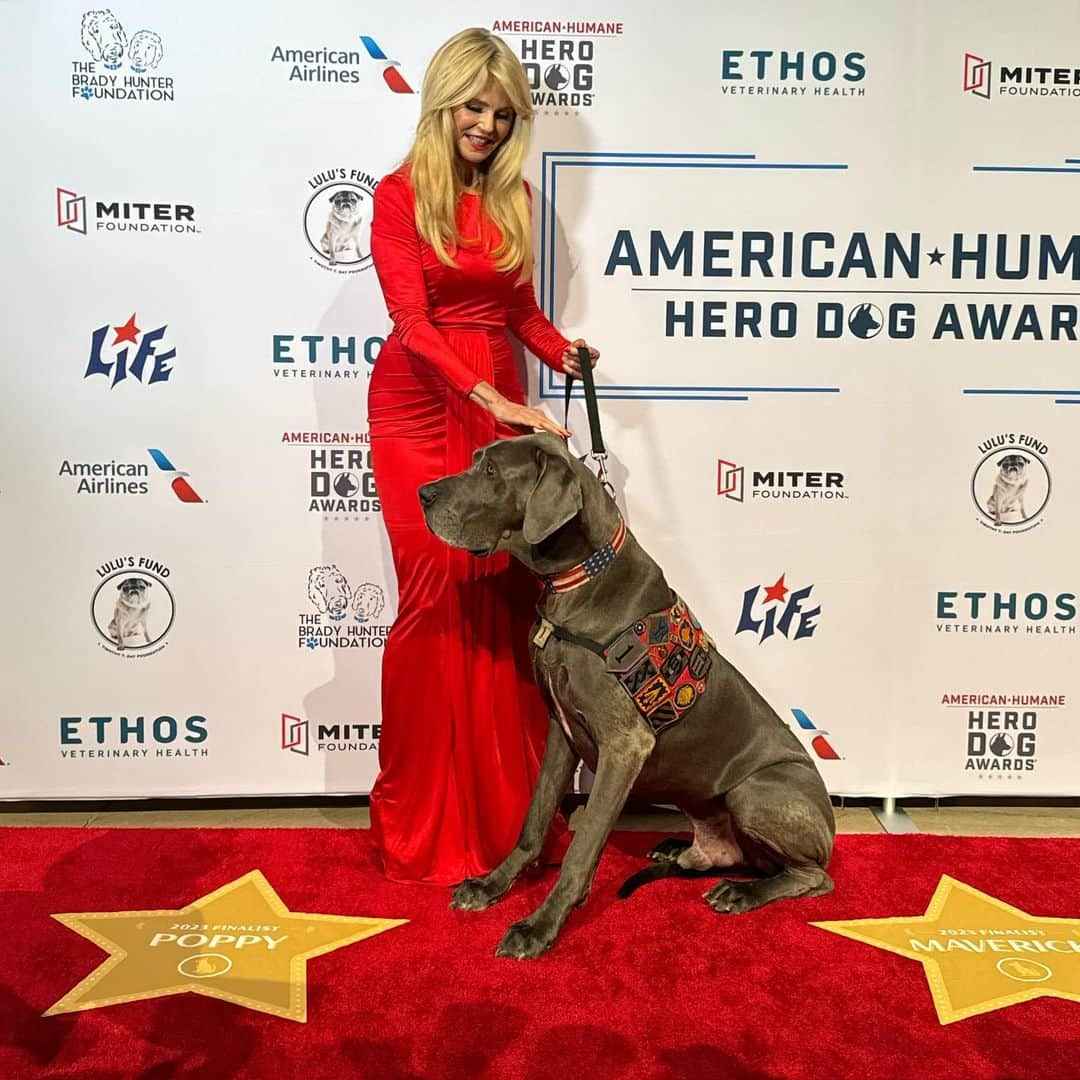 クリスティ・ブリンクリーさんのインスタグラム写真 - (クリスティ・ブリンクリーInstagram)「Over the Thanksgiving holiday,… The American Humane Hero Dog Awards, will air  TWICE‼️ First on the FYI Network 8:00 PM on Thanksgiving  and then again on Nov. 26  at 1:00 PM this time on the A&E Channe! Its a warm loving feel good show about heroes on both ends of the leash! It will make you laugh and maybe cry but it will leave you feeling great … so I hope you’ll join our Hero -Dogs,fashion star  @carsonkressley and me as we host this amazing event.. plus lots of your favorite stars are on hand to bestow the awards to the incredible Hero Dogs!  PS Maverick the emotional support hero Dog for Veterans and I salute all our selfless Hero’s on this #veteransday week -end.  PS Happy Birthday @carsonkressley  @americanhumane @herodogawards. Thanks to my glam team @timquinnbeauty (I lost that slip of paper!)」11月12日 1時07分 - christiebrinkley