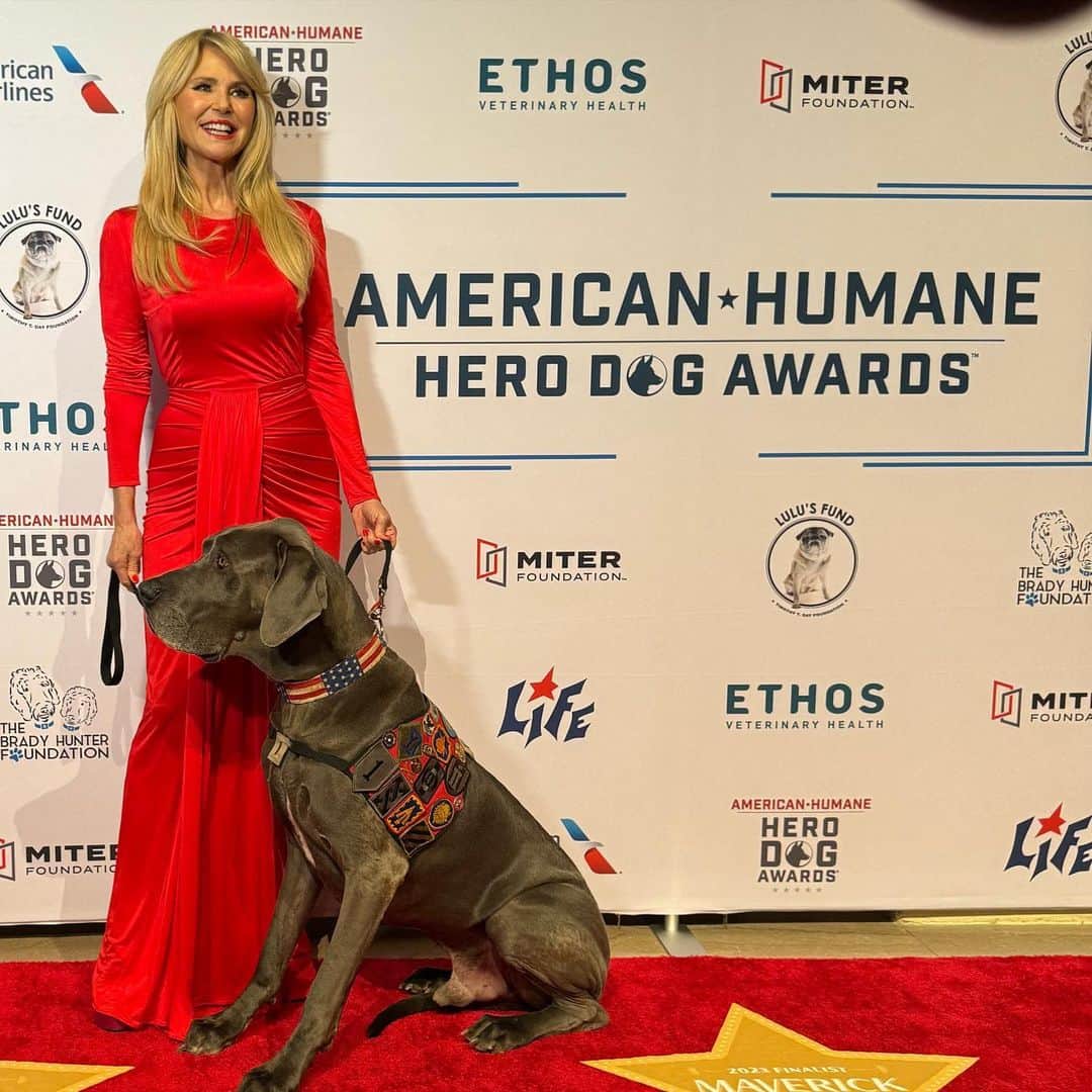 クリスティ・ブリンクリーのインスタグラム：「Over the Thanksgiving holiday,… The American Humane Hero Dog Awards, will air  TWICE‼️ First on the FYI Network 8:00 PM on Thanksgiving  and then again on Nov. 26  at 1:00 PM this time on the A&E Channe! Its a warm loving feel good show about heroes on both ends of the leash! It will make you laugh and maybe cry but it will leave you feeling great … so I hope you’ll join our Hero -Dogs,fashion star  @carsonkressley and me as we host this amazing event.. plus lots of your favorite stars are on hand to bestow the awards to the incredible Hero Dogs!  PS Maverick the emotional support hero Dog for Veterans and I salute all our selfless Hero’s on this #veteransday week -end.  PS Happy Birthday @carsonkressley  @americanhumane @herodogawards. Thanks to my glam team @timquinnbeauty (I lost that slip of paper!)」