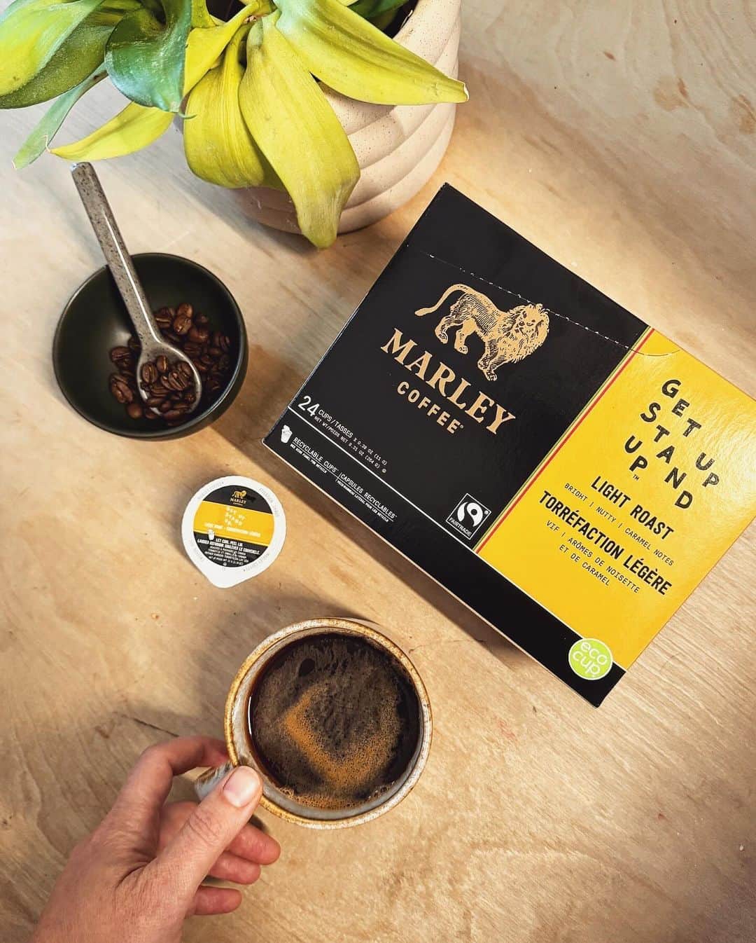 ボブ・マーリーのインスタグラム：「Make a defiant start to your day with a cup of @marleycoffee’s Get Up Stand Up—now available in recyclable single serve capsules, and made from 100% Fairtrade Certified and sustainably-grown beans ☕✨  Elevate your mornings with every sip, and let the rhythm fill your cup & soul.💚💛❤️🎵  #GetUpStandUp #CoffeeLove #MarleyCoffee #WeekendVibes @marleycoffee.chile @marleycoffeepdc @marleycoffee.ecuador @marleycoffee.paraguay @marleycoffee.peru @marleycoffee.uruguay @marleycoffee.mx @marleycoffee.brasil @marleycoffee.argentina @marley_coffee_sweden @marleycoffee.europe @marleycoffee_southafrica @irelandmarleycoffee @marleycoffee.bolivia @marleycoffeett」