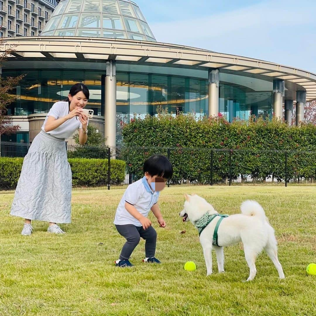 早川茉希のインスタグラム：「【子連れ旅行in小田原🚈】 三連休に義家族3ファミリーで小田原へ🎵  初の踊り子号に乗りました😍 ホームで息子のクラスメイトファミリーと バッタリ会ってびっくり😆✨  滞在した小田原ヒルトンは 夫ファミリーが昔行っていた思い出の場所☺️✨ 1日目はテニス🎾、バドミントン🏸、 夕食後にカラオケ🎤、お部屋でゲーム😍 2日目もテニス🎾にテラスランチ🥗、 ドッグラン🦮とアクティブに過ごしました🤭💓  子連れにもわんちゃん連れにも最高で 息子もこれまでの旅行で一番楽しんでいたのでは😻💓 初めてのカラオケも歌い終わるたびに 「ぅ〜〜あーーー！！！（激しめ拍手👏）」 と叫んで盛り上げていて笑いました🤣🤣 やっぱりお歌が好き🥰  かなり充実した２日間だったけれど 全然遊びきれなかった🤭 他にも全天候型温水プールや岩盤浴、 ボウリング🎳、キッズルームもあるし ダンスやヨガなどのプログラムも 宿泊者は無料で受けられるらしい😳 プールレッスンまであってすごく充実！  恒例行事になりそうな予感なので 次回も楽しみ🥰🫶  #小田原 #小田原旅行 #子連れ旅行 #リフレッシュ #家族旅行 #子連れスポット #ヒルトン小田原リゾートアンドスパ #ホテルステイ #子連れホテル #子連れホテルプール  #わんちゃんと初絡みの息子 #テニスボールにハマった #久しぶりのバドミントン楽しい #元バド部 #テニスも楽しい #思い出と共に残った #筋肉痛」