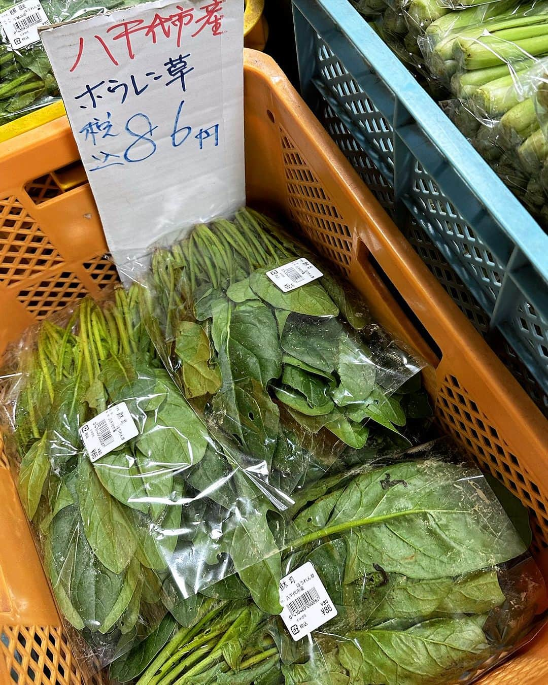 道の駅やちよのインスタグラム：「農産物直売所、今日のおすすめ！  🍅高騰が続いていますが、だんだんとお安くなって来ました👏 そして、ほうれん草は86円〜とお求めやすくなっています❗️沢山買い込んで、ほうれん草しゃぶしゃぶにしてください。とっても美味しいです。  季節の食用菊も一緒にお鍋に入れると映えますね✨  #道の駅やちよ #ほうれん草レシピ #お買い得情報 #新鮮野菜 #地産地消 #農産物直売所 #ミニトマト #食用菊 #八千代市」