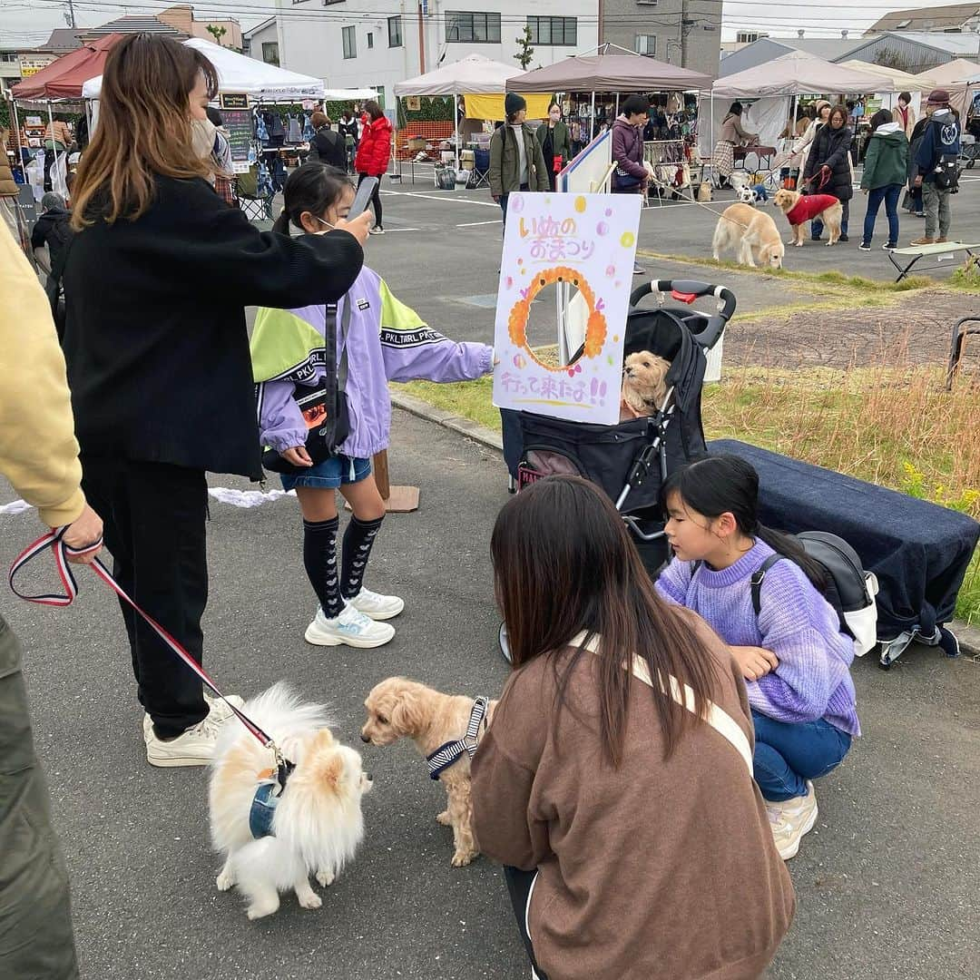 甲斐麻美さんのインスタグラム写真 - (甲斐麻美Instagram)「・ \\むらキャン！× いぬのおまつり//  2日目始まってます！🐕🐾  わんわん賑わってますよー！😇  今日は風がないので お外でも過ごしやすいです☺  あたたかい格好で、遊びにいらして下さいね🐕🙌🌿  また、昨日の忘れものを預かっております。 お心あたりのある方は、 会場へおこしいただくかインスタグラムDMへ ご連絡下さいね❣️  ■ご来場の際はイオンモールの駐車場か、 臨時駐車場も開放しておりますのでご利用くださいませ。 皆さま安全運転・安全横断でね💓  ====================== むらキャン！× いぬのおまつり ======================  ■日時：11月11日(土)・12(日)10:00～16:00 ※雨天中止 場所：イオンモールむさし村山 　　　　たいかんたいけん野外広場 東京都武蔵村山市榎1-1-3  #いぬのおまつり　 #武蔵村山市 #武蔵村山 #むさし村山 #イベント運営 #いぬとわたし #犬との暮らし #犬ファースト #犬好きさんと繋がりたい #犬がいないと生きていけません #犬好き #犬のイベント #犬イベント #犬とお出かけ #いぬすたぐらむ #犬と楽しむ #犬最高」11月12日 11時08分 - inuto_watashi