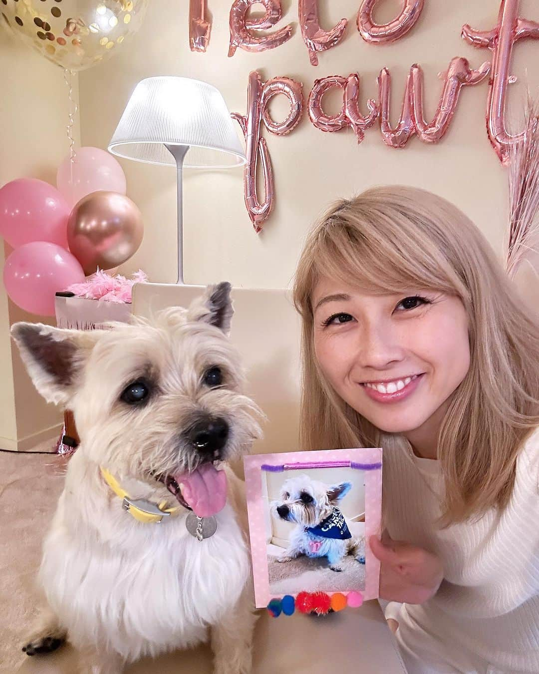 吉田ちかさんのインスタグラム写真 - (吉田ちかInstagram)「We celebrated Suri’s 15th birthday! It was great to be together in person for this special occasion🎂  This was the first birthday Suri has had without Tara😢 we miss Tara dearly but she joined us in spirit and in our hearts❤️  Pudding was always closer to Tara and she was actually a little scared of Suri because Suri is a bit aggressive during our walks. But they’ve gotten close on this trip and now pudding pets her with a ton of love - the same face that she makes when pinching Clover’s cheeks lol #swipe  先日スリの15歳の誕生日をお祝いしました😆💕リアルで一緒にお祝いできて良かった🥹  スリちゃんにとってタラがいない誕生日は今回が初めて😢でも、きっと天国から一緒にお祝いしてくれていたと思います😊  元々プリンはタラと仲良しで、スリちゃんはお散歩中にちょっとワイルドだったので😅少し怖がっていたのですが、今回ですっかり仲良くなり、クローバーを可愛がる時と同じあの力が入りすぎた顔でスリをなでなで😂 3枚目w」11月12日 11時25分 - bilingirl_chika