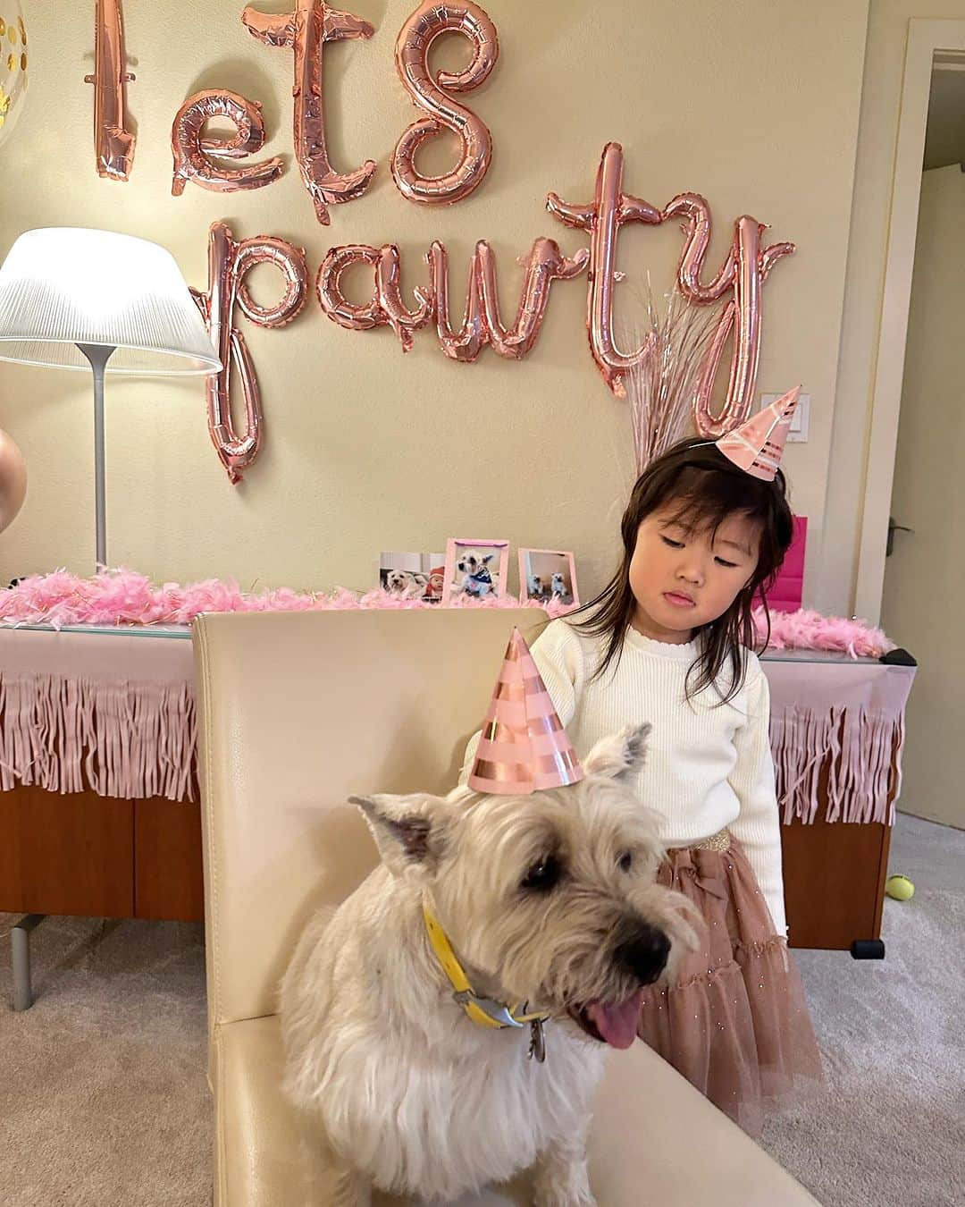 吉田ちかさんのインスタグラム写真 - (吉田ちかInstagram)「We celebrated Suri’s 15th birthday! It was great to be together in person for this special occasion🎂  This was the first birthday Suri has had without Tara😢 we miss Tara dearly but she joined us in spirit and in our hearts❤️  Pudding was always closer to Tara and she was actually a little scared of Suri because Suri is a bit aggressive during our walks. But they’ve gotten close on this trip and now pudding pets her with a ton of love - the same face that she makes when pinching Clover’s cheeks lol #swipe  先日スリの15歳の誕生日をお祝いしました😆💕リアルで一緒にお祝いできて良かった🥹  スリちゃんにとってタラがいない誕生日は今回が初めて😢でも、きっと天国から一緒にお祝いしてくれていたと思います😊  元々プリンはタラと仲良しで、スリちゃんはお散歩中にちょっとワイルドだったので😅少し怖がっていたのですが、今回ですっかり仲良くなり、クローバーを可愛がる時と同じあの力が入りすぎた顔でスリをなでなで😂 3枚目w」11月12日 11時25分 - bilingirl_chika