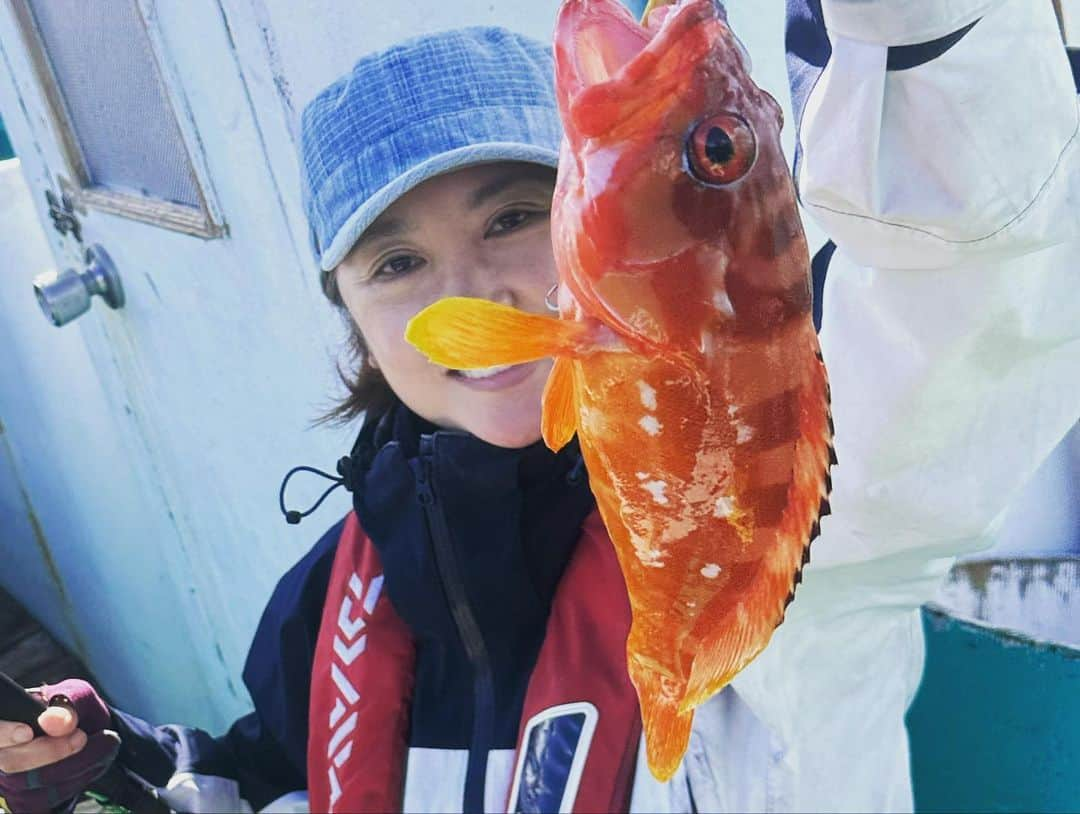 原千晶さんのインスタグラム写真 - (原千晶Instagram)「10月末に八丈島へ釣り旅に🎣 下準備もほぼせずに、なんとかなるさ！と 飛び込んでみたら…  釣り天国のはず？なのに なかなか渋くて… 海のご機嫌が良くなく修行のような 釣りになりました。  でも、初日に ヒメダイと小さなカンパチ(初‼️) 最終日に大きなアカハタが 沢山釣れて大満足✨  初八丈島はちょっぴり難しかったけど 壮大な自然の中でたっぷりと 釣りを楽しめたので大満足✨ 色々勉強させてもらいました！ また行きたいな〜 それまでにジギングをもっと練習して 250gとか300gのジグを ちゃんとシャクれるようになるぞ！！ まだまだ修行の身です！  #釣り  #船釣り #八丈島 #カンパチジギング  #アカハタ　#釣り旅」11月12日 11時27分 - seribukristal