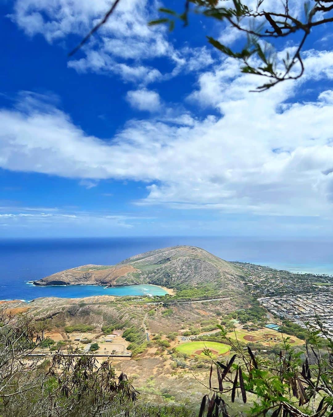 shihoさんのインスタグラム写真 - (shihoInstagram)「💚⛰️💚⛰️💚 ・ ハードだけれど、 上に行けば行くほど視野が開け 絶景と出逢える 『ココクレーター・トレイル』 ・ 約1000段近くあり 後半は勾配がきつく 登っている時は必死になるけれど、 休憩しながら見るHawaiiの景色は 疲れを忘れちゃうくらい最高。 ・ #hawaii#islandofoahu#oahu#ハワイ#trip #オアフ島#travel#loco_hawaii#travel_jp #funtorip#タビジョ#旅MUSE#genic_travel #genic_mag#たびねす#旅行#genic_hawaii #kokocratertrail#hiking#hike#hanaumabay #kokocrater#ocean#views#oahuhawaii #tabijyomap_hawaii#lealeahawaii#2023」11月12日 11時51分 - shiho.ga8