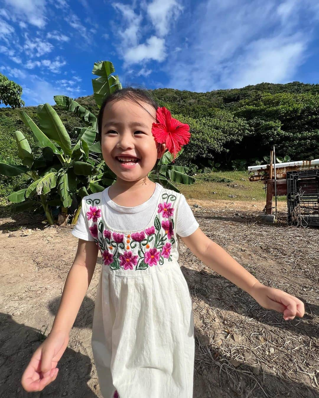 来夏さんのインスタグラム写真 - (来夏Instagram)「#💚 何度いっても魅力的で ホッとする大好きな島🏝️  牛さんにごはんをあげたり バナナもハイビスカスも 大きな蝶々も にわとりも 洞窟も ヒージャーも 伊平屋ブルーも 娘と見れた景色なことが なにより嬉しかったー🩵  娘も すぐまた皆に会いに行きたいーって😆💓  いろんな場所に連れて行ってくれてありがとう☺️ 仲良くしてくれて感謝です🫶  島の自然の恵みに囲まれて 心もお腹も満たされ しあわせ🥹🙏  #伊平屋島 #iheyaisland  #沖縄 #okinawa #釣り吉」11月12日 11時57分 - rairairaika