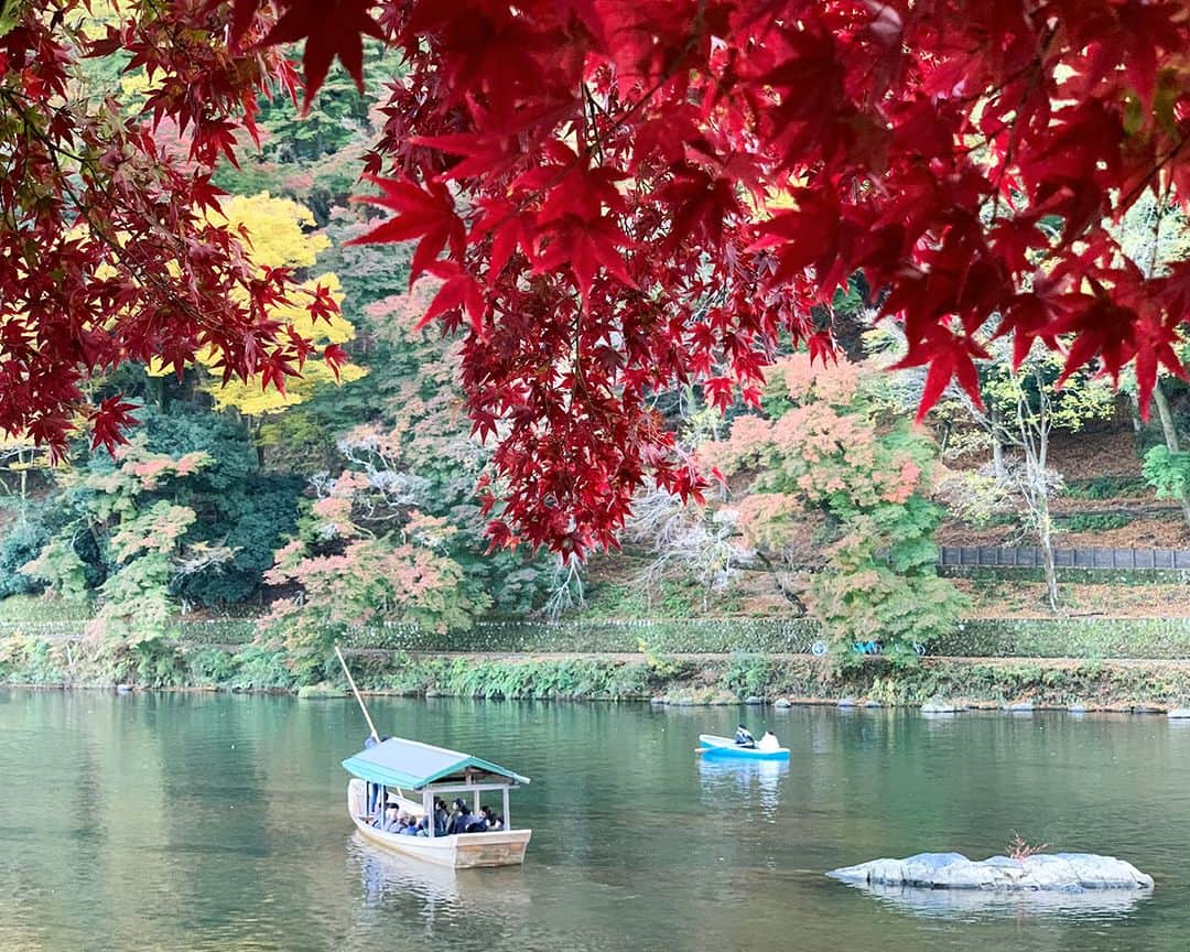 SOU・SOUさんのインスタグラム写真 - (SOU・SOUInstagram)「京都を代表する紅葉の名所「嵐山」。野山に美しい景色が広がります。 - - - - - - - - - - - - 11月らしくない気温が続いていましたが、週末からぐっと冷え込むようですね。秋を飛び越えて冬の気温とのことですが、寒さが増してようやく季節の深まりを感じられそうです。  これからの京都といえば紅葉。桜の季節と並んでこの時期も、多くの観光客の方が京都各所で美しい紅葉を楽しみます。中でも嵐山は天龍寺や龍安寺など寺院の紅葉、また山に近く、川が流れる自然豊かな紅葉を堪能できる場所。  渡月橋から眺める景色は絶景！遠くに眺める色とりどりに染まった嵐山の数々は心癒される景色です。ゆっくりと進む屋形船から眺めることもでき、風光明媚な秋の嵐峡めぐりは陸からとは一味違う楽しみ方です。  黄色、緑、赤、様々な色が入り交じる、自然の中のカラフルな景色はまるで一つのテキスタイルを見ているよう。昔から変わらない景色はきっと様々な人の心に残り影響を与えてきたのだろうと思います。  （ハルナ）  #sousou #sousoukyoto #shrine #kyoto #京都 #そうだ京都行こう #神社仏閣 #期間限定 #秋 #風物詩 #秋の風景 #京都旅 #京都のくらし #日々の暮らし #紅葉 #紅葉スポット #観光 #京都散歩 #京都観光 #紅葉狩り #嵐山 #autumn #秋の京都 #kyototrip #kyototravel #kyotojapan #京都散策 #京都紅葉 #秋を楽しもう」11月12日 12時00分 - sousoukyoto