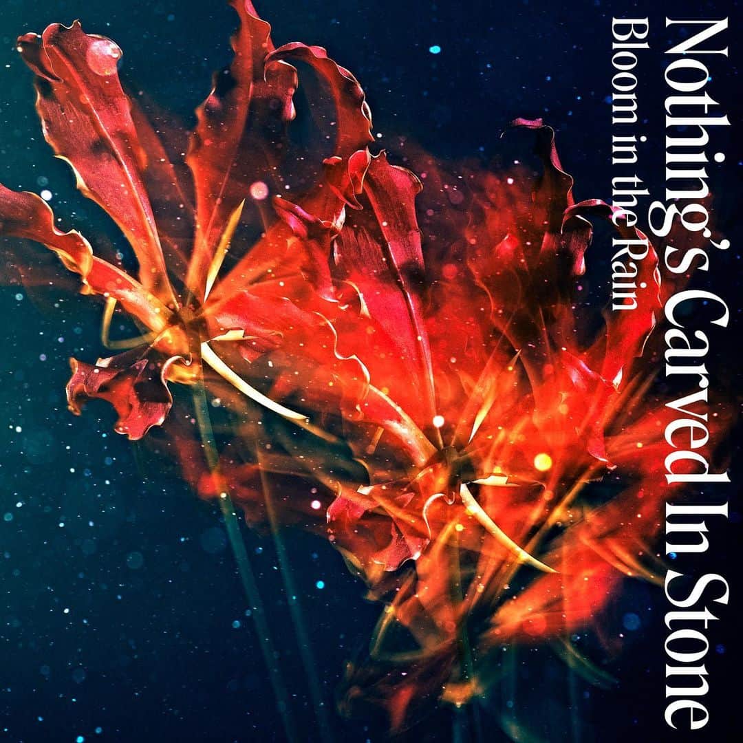 のインスタグラム：「【15th Anniversary History】 ⁡ ■2021年 Digital Single『Bloom in the Rain』ジャケット写真 2021年1月1日リリース ⁡ ——————— Nothingʼs Carved In Stone 15th Anniversary "Live at BUDOKAN" 2024年2月24日(土)日本武道館 OPEN 16:30 / START 17:30 ⁡ ▼チケット ・指定席：8,200円(税込) ・学割指定席：6,200円(税込) ・ファミリー指定席：【親】8,200円(税込) / 【子供】6,200円(税込) ⁡ ▼ツアーWEB先行受付中(先着)！ https://eplus.jp/ncis-hp/ ⁡ #NothingsCarvedInStone #ナッシングス #NCIS #SilverSunRecords #liveatbudokan #日本武道館 #ナッシングス武道館」