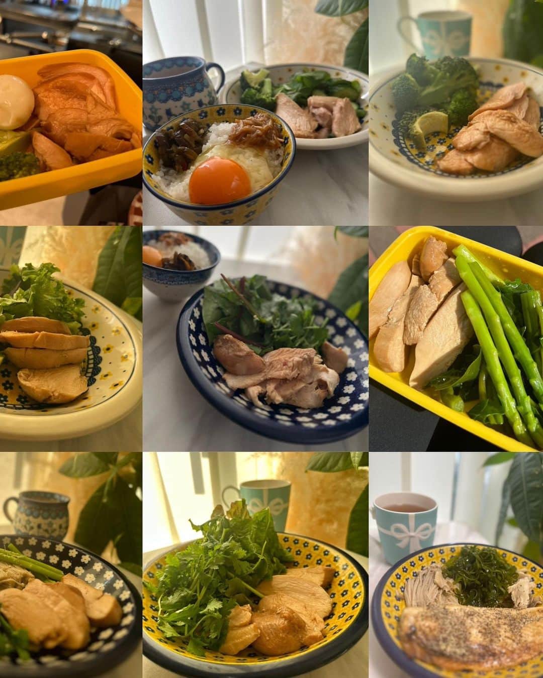 愛川ゆず季さんのインスタグラム写真 - (愛川ゆず季Instagram)「最近🤍  ベストボディ・ジャパン日本大会🇯🇵 あと6日。 フィットネスモデル レディースクラス26番です❤️‍🔥 応援よろしくお願い致します🙇‍♀️💕  お弁当生活もあと少し。 去年の食事は感覚でしたが 今回は初めて食事指導&自分でも勉強しながら ほとんど手作り 毎食グラムを計り(ついつい食べすぎてしまうので) めんどくさいのでメニューはほとんど同じですが🤣 ボディメイクにおける食事の大切さが身に沁みた！  #ベストボディジャパン #フィットネスモデル #ダイエット #筋トレ #筋トレ女子 #おとこのこママ」11月12日 12時08分 - aikawa_yuzuki