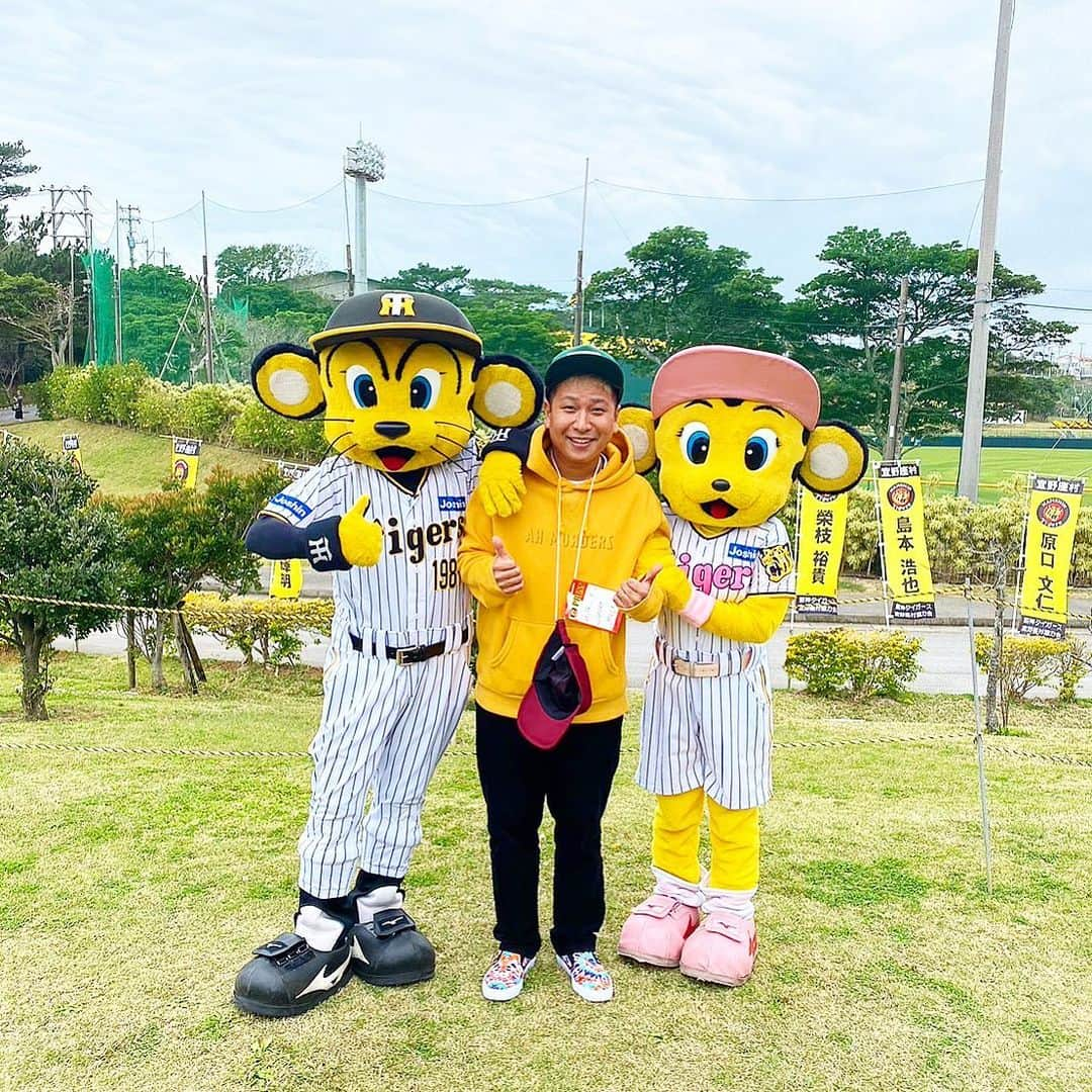 MOCAのインスタグラム：「. . 甲子園LIVEまで あと❻日となりました🔥✌️ . タイガースが38年ぶりの日本一を カマした年にLIVEができる奇跡。 . えぐちです㊗️✌️ . . 結成10周年。 . 映画で言えば完全にフィナーレ感満載ですが 果たして我々はどうなってしまうのか？ . . とりあえず今はワクワクです💚💚💚 . . 47都道府県ツアーと 激励回りで枯れ果てた声は だいぶ回復しました㊗️✌️ . . ご心配なく🤭 . . どうか当日まで無事故で🤝 . . #ベリーグッドマン #甲子園LIVE #アレのアレのアレ . .」