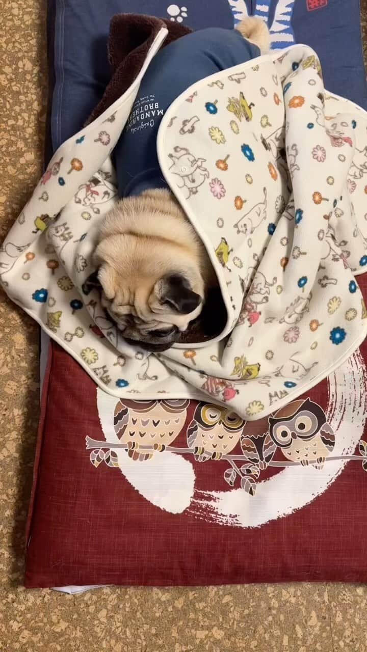 gontaのインスタグラム