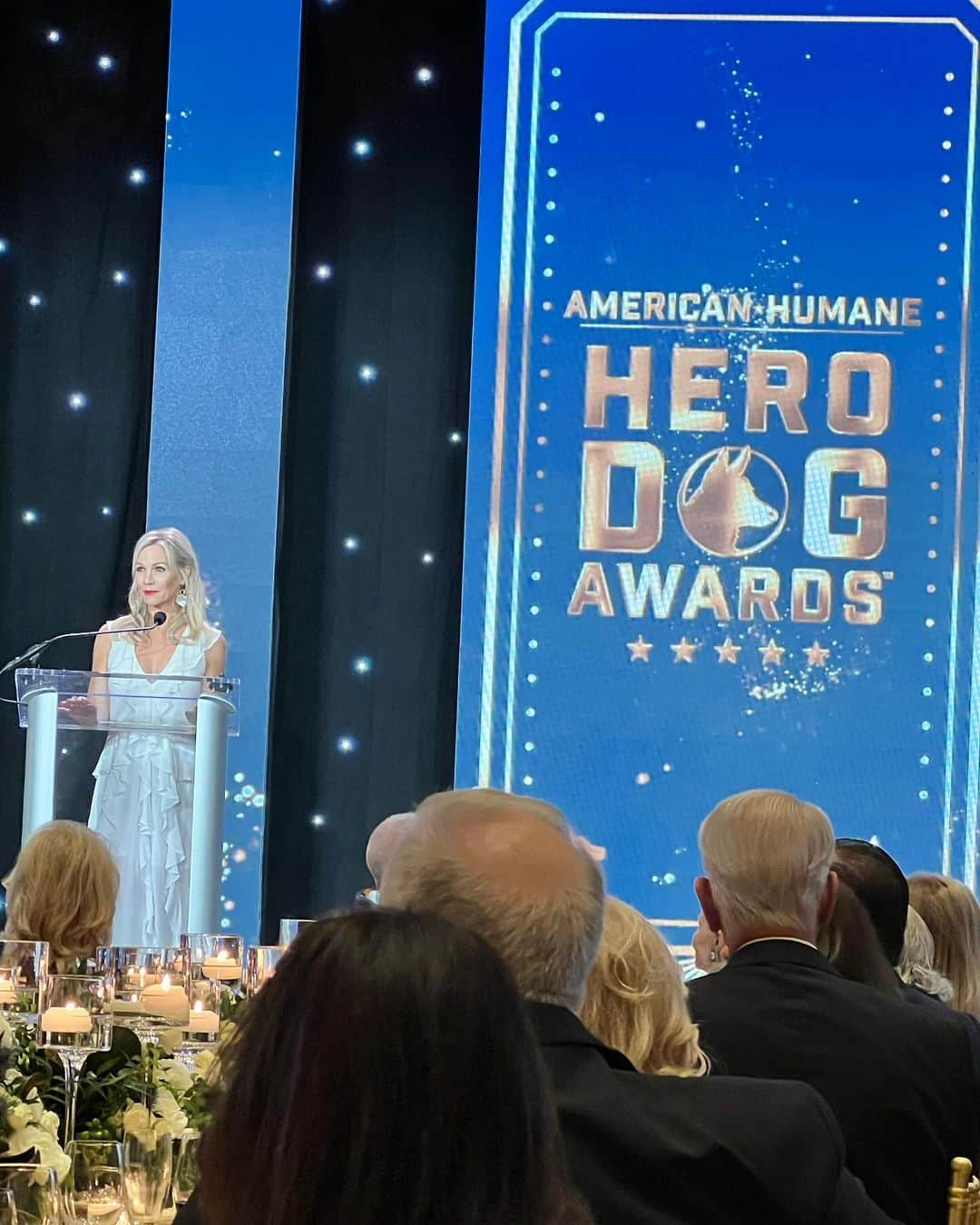 ジェニー・ガースさんのインスタグラム写真 - (ジェニー・ガースInstagram)「American Humane Hero Dog Awards the BEST Awards show I’ve ever been to… paws down🐾  Thank you @americanhumane @herodogawards 🩷」11月12日 8時30分 - jenniegarth