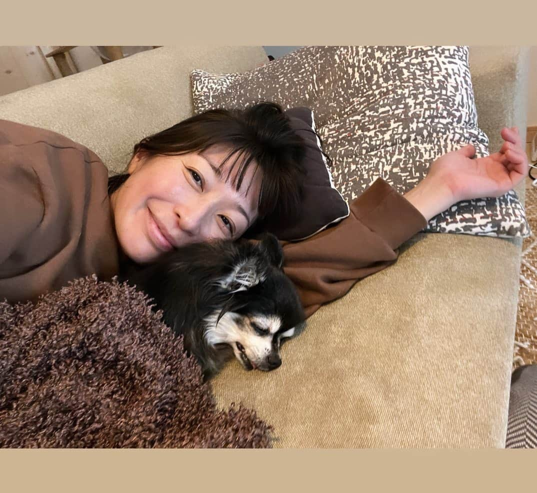 小野真弓のインスタグラム：「おはようございます☺️  さ、寒いですねぇ❄️ 突然、冬がやってきたー☃️☔️  暖房前と、おかーさんのところが 人気スポットの季節😍♨️✨ みんなでくっついてぬくぬくが、ちわわせ🥰🐾  ハナちゃんは 気候に体調が追いついてません🥲  みなさまも、あたたかくして お体ご自愛くださいね🧣🍢♨️  今日も、良い一日をお過ごしください(о´∀`о)  #冬の始まり #犬と猫のいる暮らし #犬猫日記 #シニア#ハナちゃん  #リビング#2部解放制　#猫の相性問題  #昼の部#ハナハルアオナナ #夜の部#まり#くー #おかーさんも昼夜2人いるといいのだけども」