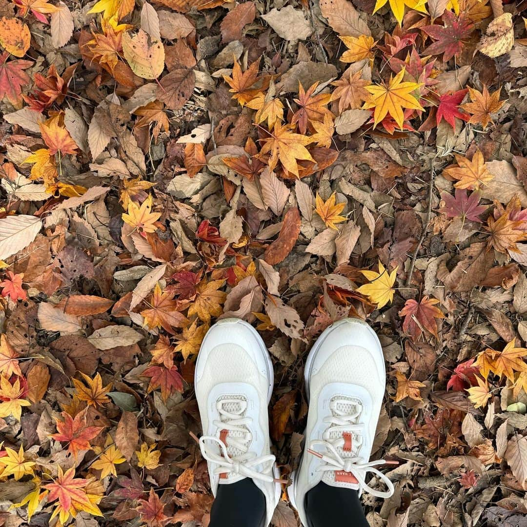 辺見えみりさんのインスタグラム写真 - (辺見えみりInstagram)「today's  ゴルフの時の洋服 ゴルフ興味ない方ごめんなさい🙇‍♀️  ニットセットアップ 大人の可愛さ @unitedarrows_golf」11月12日 9時17分 - emiri_hemmi