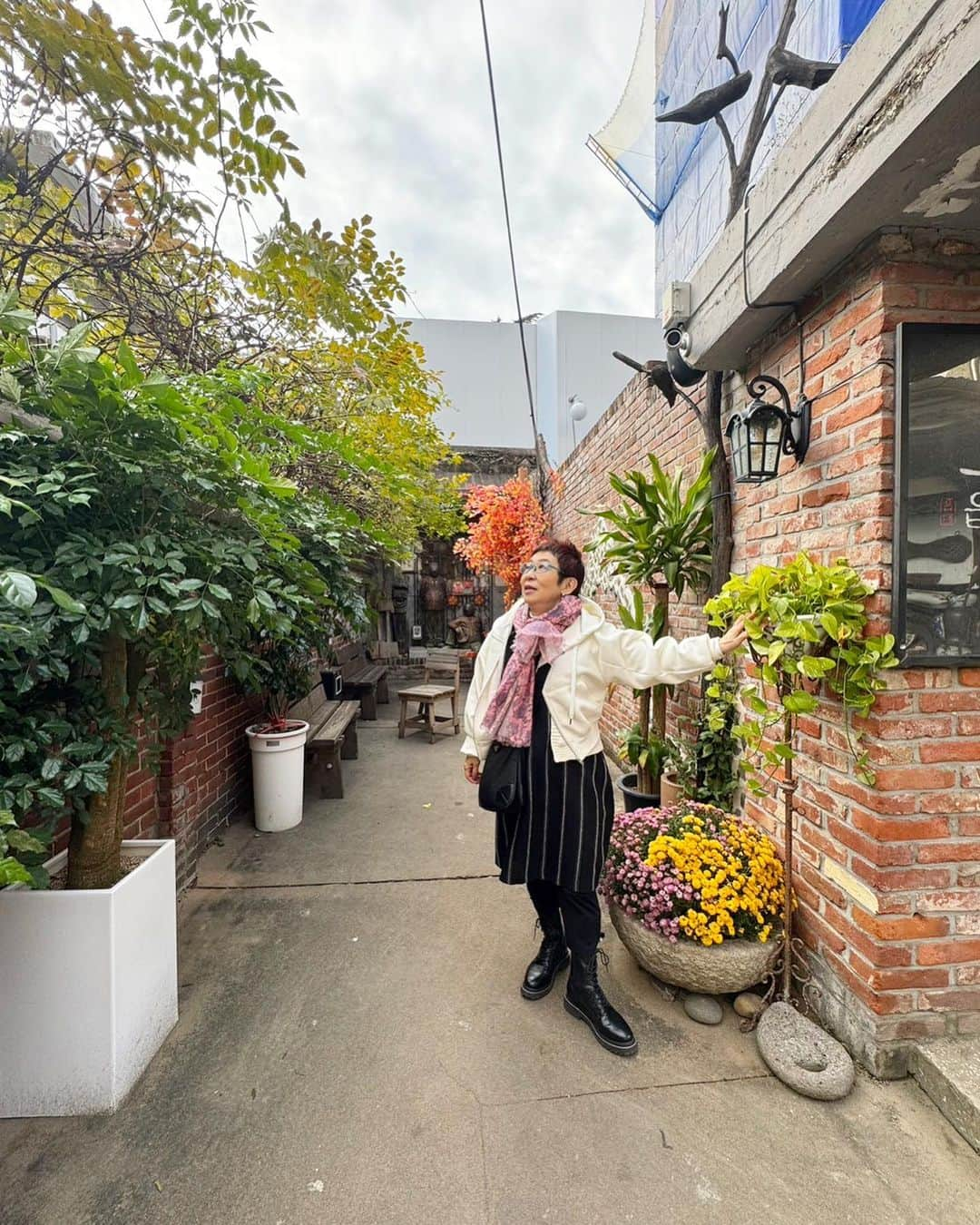 菊田あや子さんのインスタグラム写真 - (菊田あや子Instagram)「大邱の、スタバじゃない みっけたカフェ☕️  🇯🇵なら都市部は一斉に開発されちゃうけど  まだまだ路地にcafeを作ったり、壁に昔の絵を描いたり  韓国風情を残す街　大邱👍　シュガは来てないでしょね、最近の大邱繁華街は  若い👫に人気、デート❤️  しかーし、イルボンサラム　オプソヨ　  私のツアーだけ！？🇯🇵アジュンマ　笑  参加者さんが、🚌旅でドライブしながら釜山から行って良かったゎ〜と」11月12日 9時39分 - ako.ayakokikuta