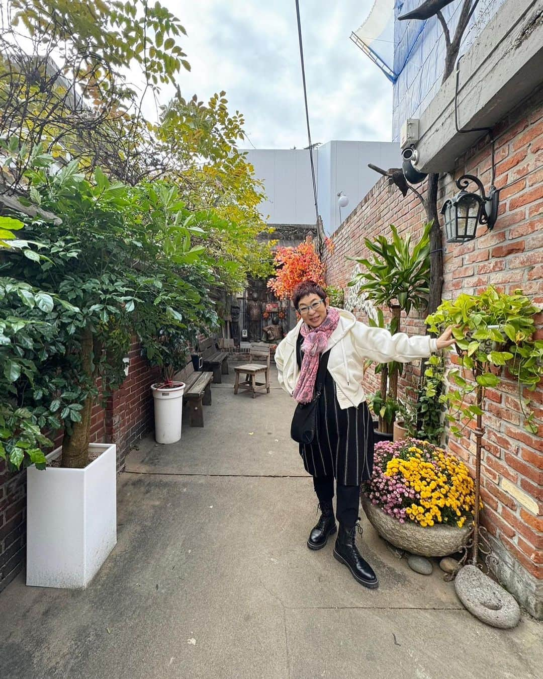 菊田あや子さんのインスタグラム写真 - (菊田あや子Instagram)「大邱の、スタバじゃない みっけたカフェ☕️  🇯🇵なら都市部は一斉に開発されちゃうけど  まだまだ路地にcafeを作ったり、壁に昔の絵を描いたり  韓国風情を残す街　大邱👍　シュガは来てないでしょね、最近の大邱繁華街は  若い👫に人気、デート❤️  しかーし、イルボンサラム　オプソヨ　  私のツアーだけ！？🇯🇵アジュンマ　笑  参加者さんが、🚌旅でドライブしながら釜山から行って良かったゎ〜と」11月12日 9時39分 - ako.ayakokikuta