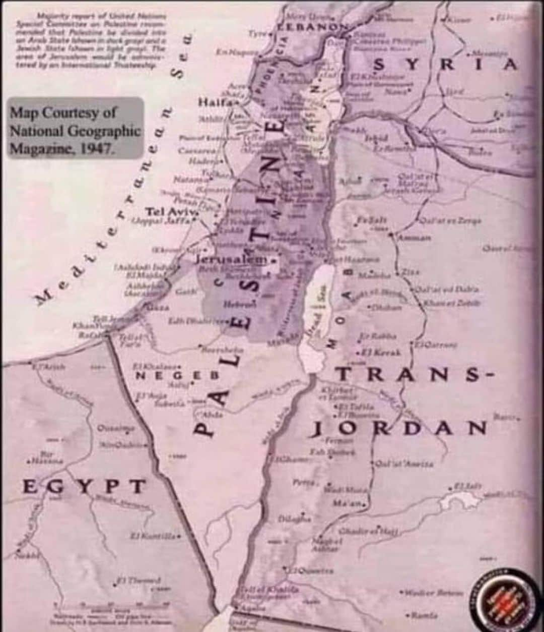 ジェノさんのインスタグラム写真 - (ジェノInstagram)「Israel was founded on thievery and colonisation; the land was never theirs. The Zionists have committed and are STILL COMMITTING war crime after war crime, trying to acquire land that was NEVER THEIRS. Allah SWT knows, and He watches everything. When (and not if) the time comes for Him to punish those evildoers, just remember that it was already stated in the Quran. - The following verse is a reminder from Him “And if Allāh should touch you with adversity, there is no remover of it except Him.” Quran 6:17」11月12日 21時48分 - nctjeno