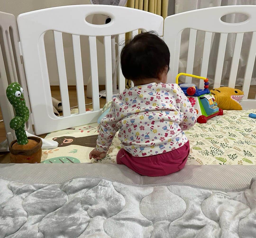 のインスタグラム：「さむー。 外から帰宅したら家があたたかー。 守護神二日不在でお仕事だったので、ぷくぷくがだいぶまた物足りない顔をしています🥹もうすぐ帰宅するから、ソワソワしてる🤷🏻‍♂️ パパっ子だから仕方ない🙇‍♀️ そして、左にいるサボテン🌵だいぶ話したこと話すし生きてるみたいに感じながらも、ぷくぷくからしたらやや怖い？みたい🥹自分の声が跳ね返るからびっくりしてる。これ以上の距離は縮まらない様子。 いろんなことに興味が湧いたり、好奇心旺盛で、バタバタ動いてます🌞 成長てすごいな。 これからが楽しみだねっ！！😊 さ、早めにお風呂に入り明日の準備。 明日はラヴィットです🐰 みなさま、よろしくお願いします😃また明日から１週間が始まりますね。楽しみな人もいれば憂鬱な人、嫌な人色々な気持ちで始まりますが、人間生きてるだけて偉いし頑張ってます🫡人間大変ですが，人生短いので楽しみましょ🤷🏻‍♂️ 明日も朝から笑うぞー🐇🐇🐇  #最近のぷくぷく #つかまり立ちてより立つ #手放し5秒 #体幹激つよな気がする #遺伝かな #サボテンこわくて近づかない #日々成長が愛おしい #暖房つけてますか？ #明日はラヴィット月曜日 #楽しみすぎて幸せ #いい意味で #インスタバエ」
