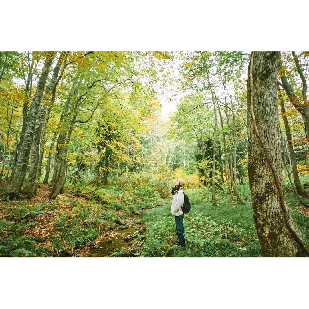 中田絢千のインスタグラム：「⛰️ 「秋田県藤里町」の観光広告に出ています。  紅葉のはじまり、雄大な自然に抱かれに白神山地へ。 うつくしい山の景色にハッとする旬の味覚、川のほとりのサウナでリフレッシュしたり、町の人たちの優しい心遣いに触れたりと、身も心も清々しく癒される旅（仕事）でした。  撮影からはもう一年経つのだけれど、また戻りたい場所のひとつ🏃‍♀️ 次はトレッキングシューズ持っていくぞ…！ #returntothestillness #秋田県 #藤里町 #白神山地」