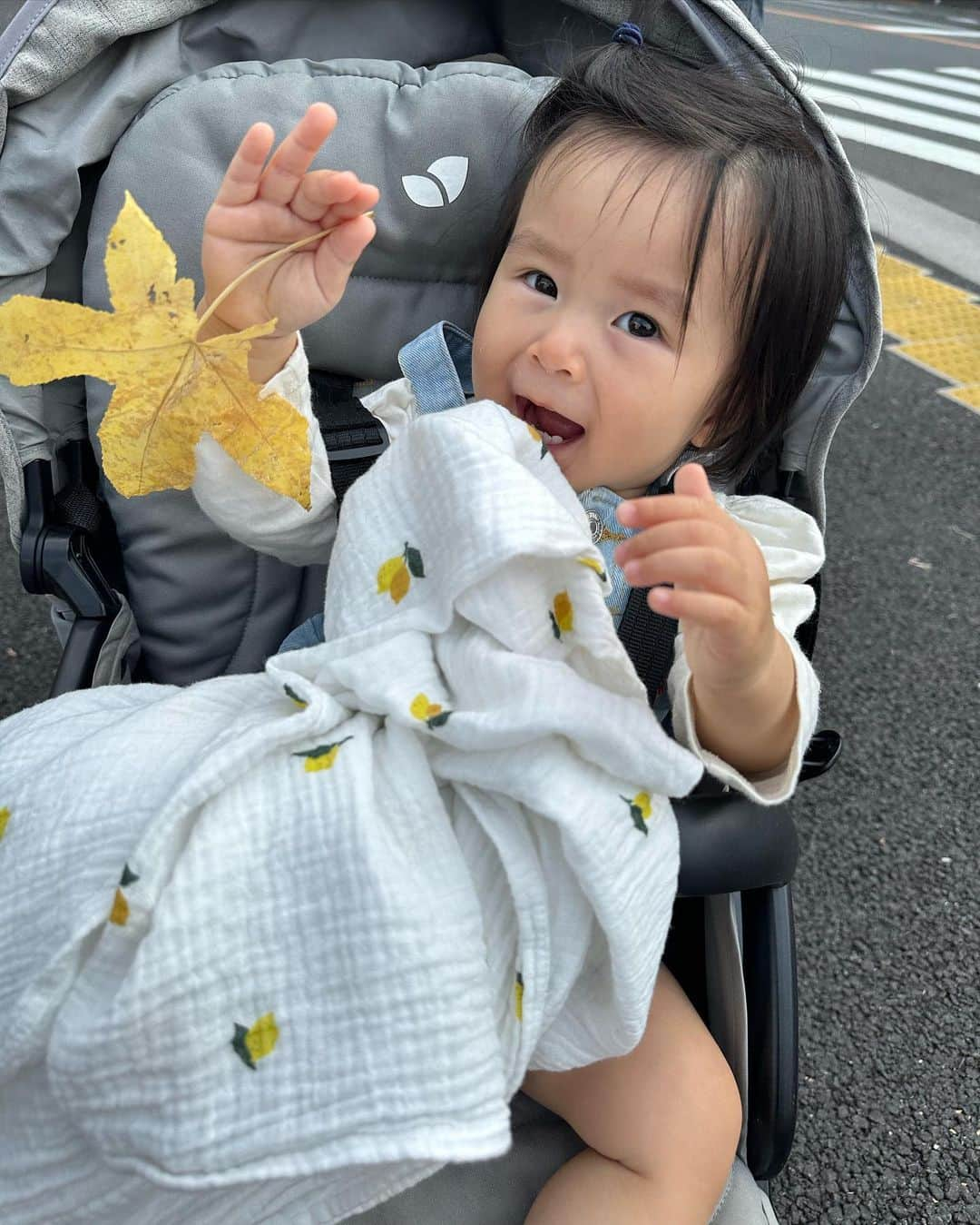 ARISA（和田有沙）さんのインスタグラム写真 - (ARISA（和田有沙）Instagram)「この間のラーメンフェスのときの☺︎ 沢山食べる気満々だったけど ゆっくりできるわけもなく😂 👭はとても楽しんでいたから良かった🤞  1.2→ @plus_women.azulofficial  のニットがお気に入りすぎて何回もきている🤞 @miesrohe_ のパンツはシルエットも良くてデザイン性もタイプで週2は手にとっております。ㅤㅤㅤㅤㅤㅤㅤㅤㅤㅤㅤㅤㅤ ㅤㅤㅤㅤㅤㅤㅤㅤㅤㅤㅤㅤㅤ 3→変わらず枝をたくさんプレゼントしてくれる 4→音のエンドレス乾杯 5→👧🏻初めての🍧 6→枝を拾って喜びダンス 7→ママと走る時はだいたいこれ 8→陽南がくれた🍁 9→美味しかったラーメン 10→ @plus_women.azulofficial のパンツがとんでもなくシルエットが綺麗で思わず📷ㅤㅤㅤㅤㅤㅤㅤㅤㅤㅤㅤㅤㅤ ㅤㅤㅤㅤㅤㅤㅤㅤㅤㅤㅤㅤㅤ #ママコーデ#年子#年子姉妹#姉妹#年子育児 #パンツコーデ#2歳2ヶ月#1歳1ヶ月#駒沢公園  #pluswomen#miesrohe」11月12日 20時48分 - wadaarisa